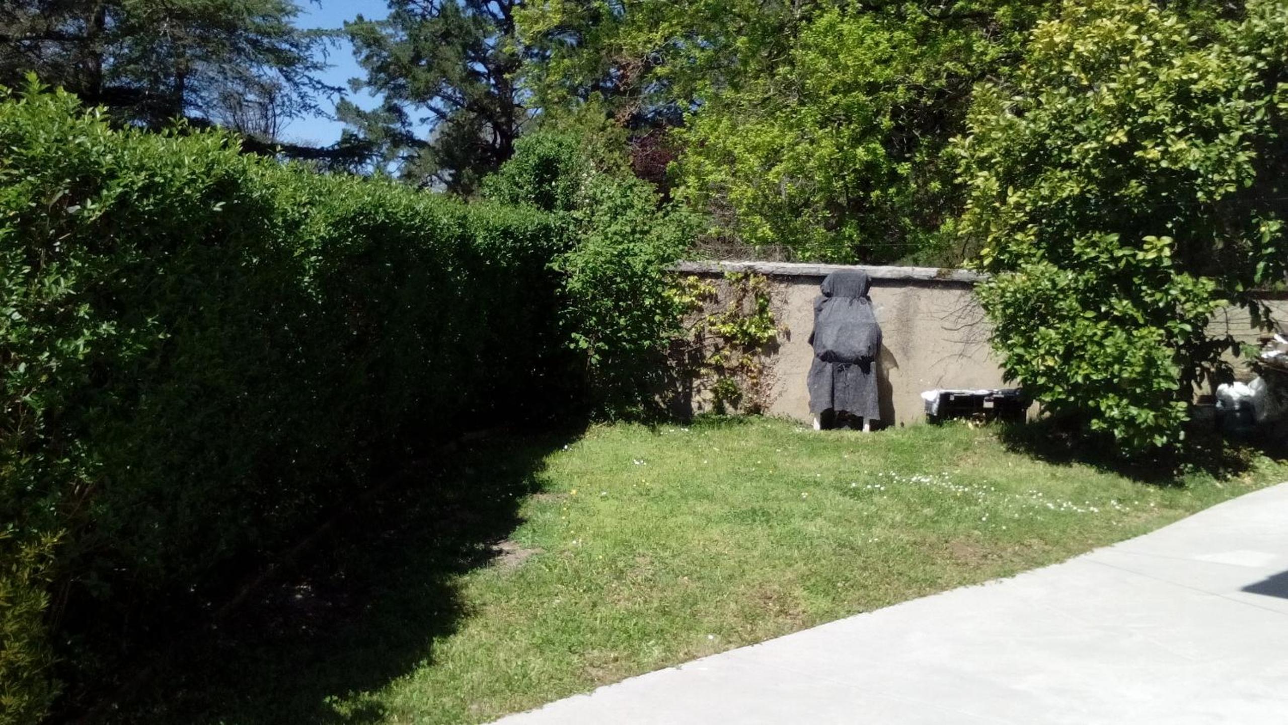 Photo 25