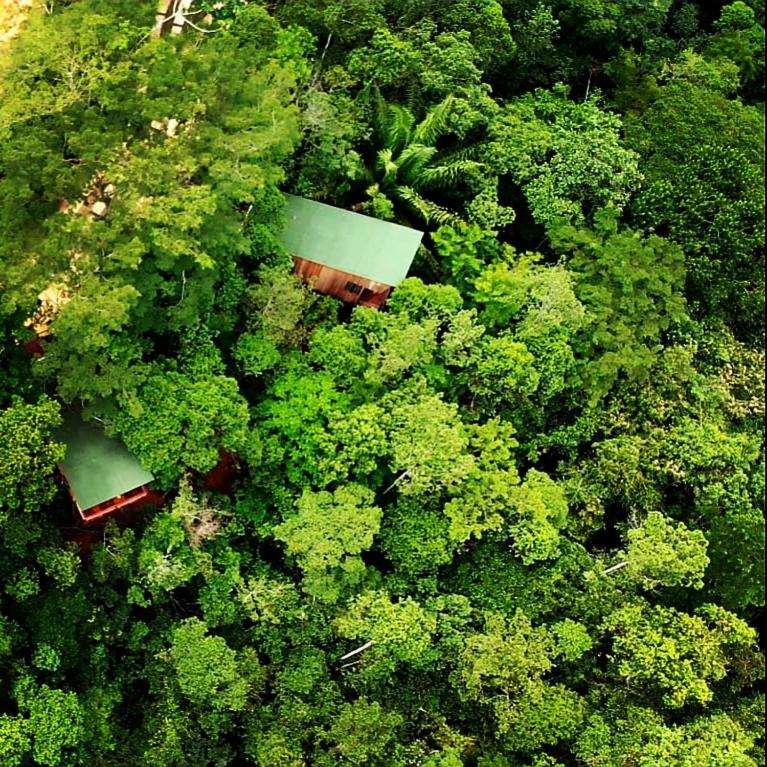 La Luciole Ecolodge view 5