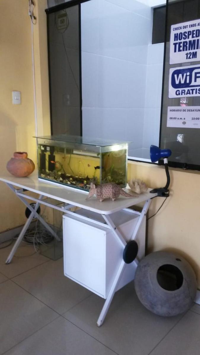 Hospedaje Wankko