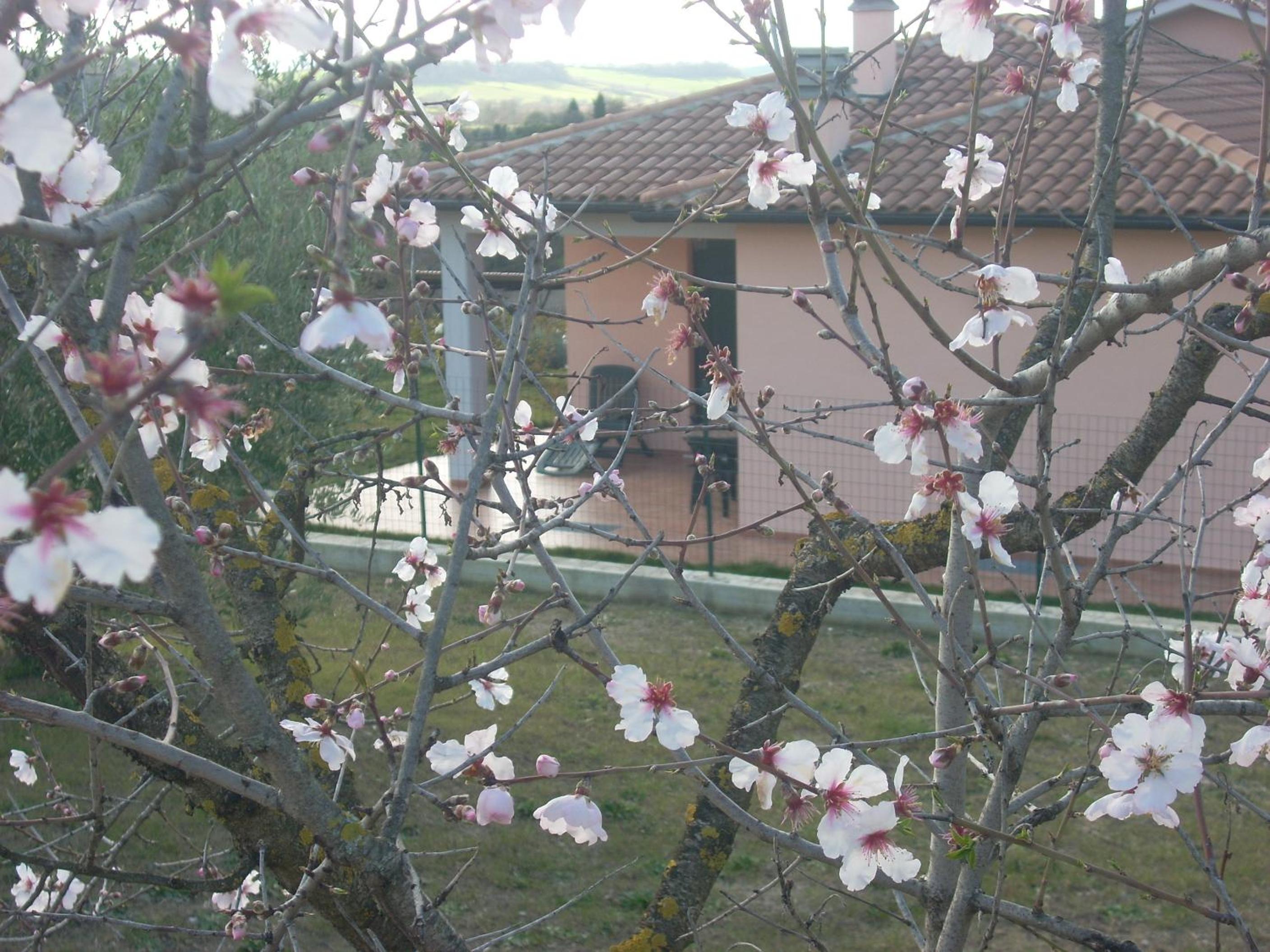 Photo 45