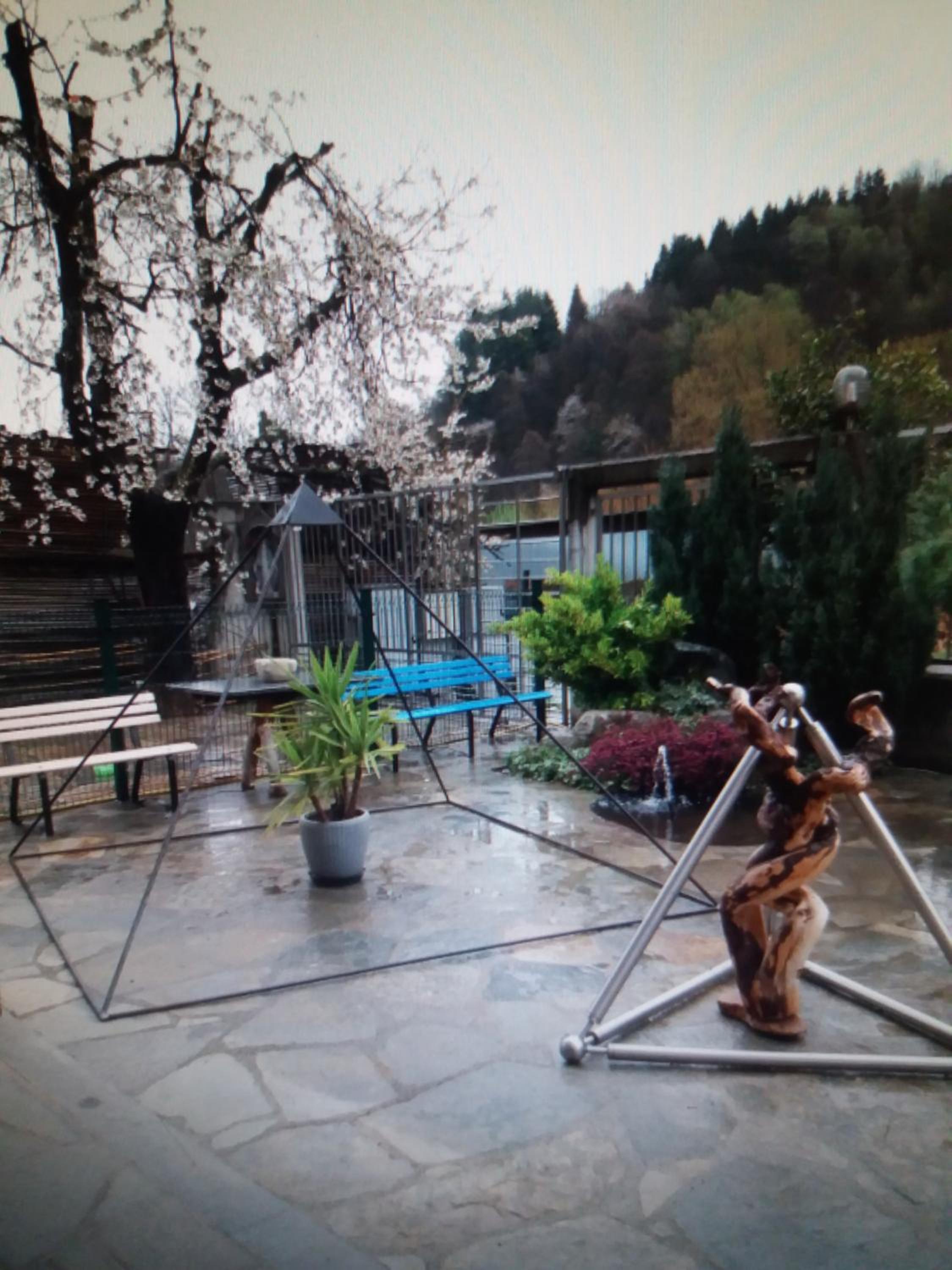 Photo 12