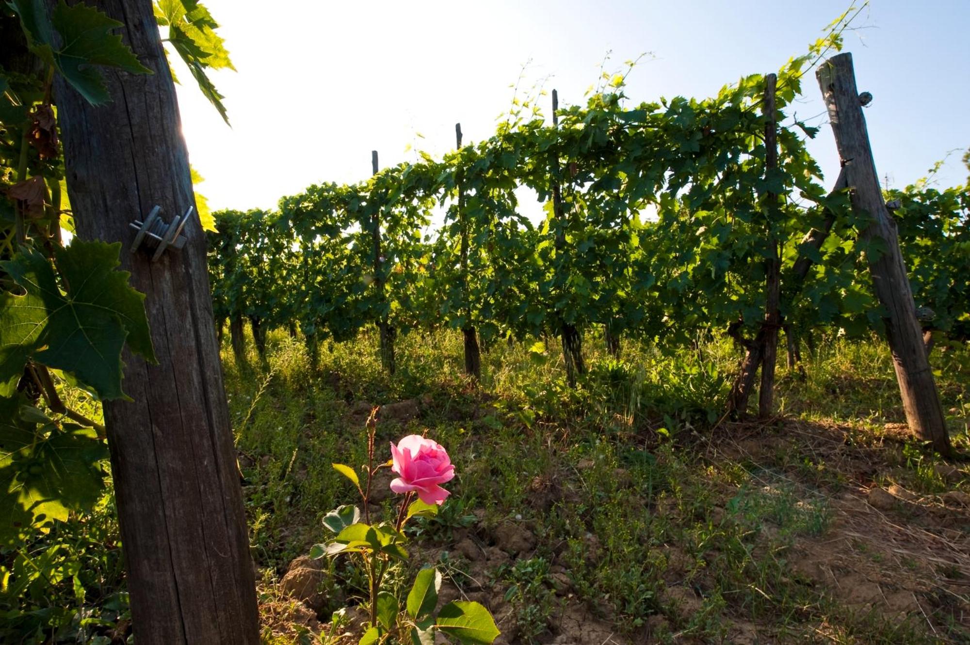 Podere San Quirico