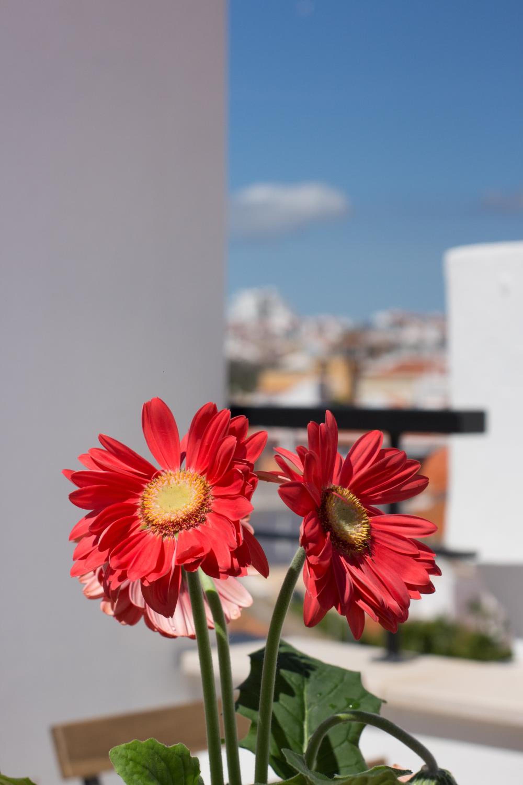 ALMAS ROOMS view 2