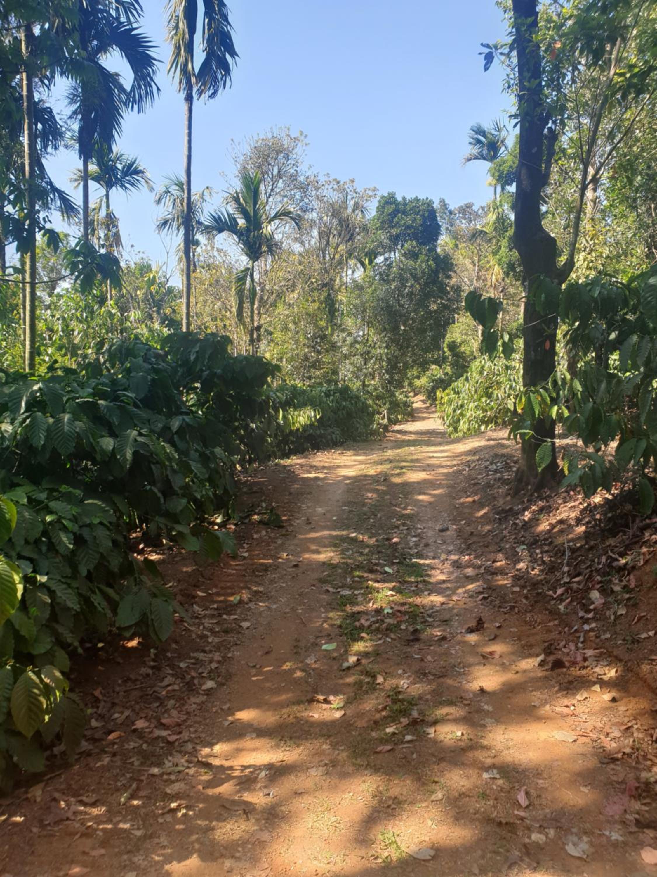 Sunset Valley Homestay