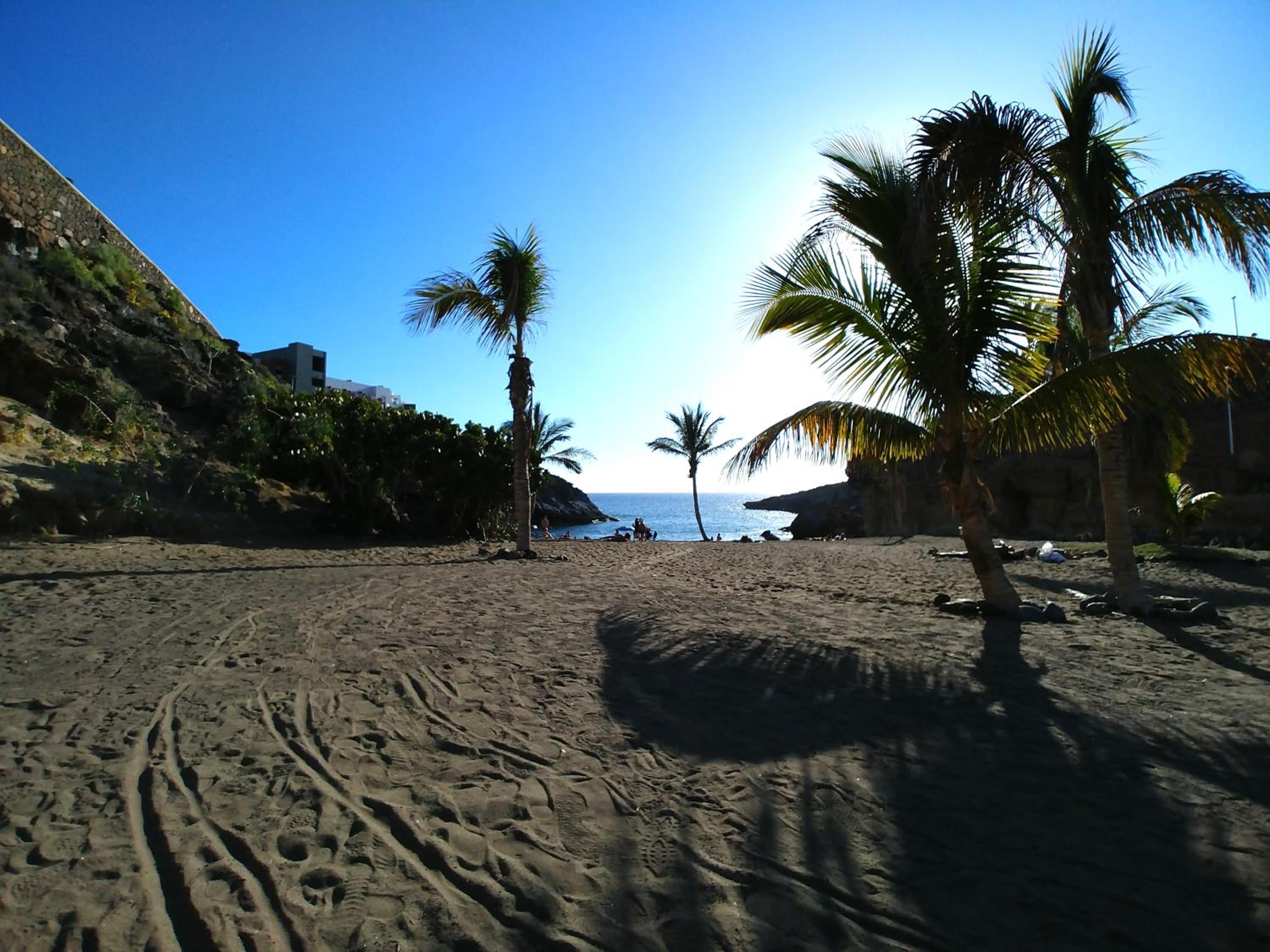 Family Paradise PREMIUM