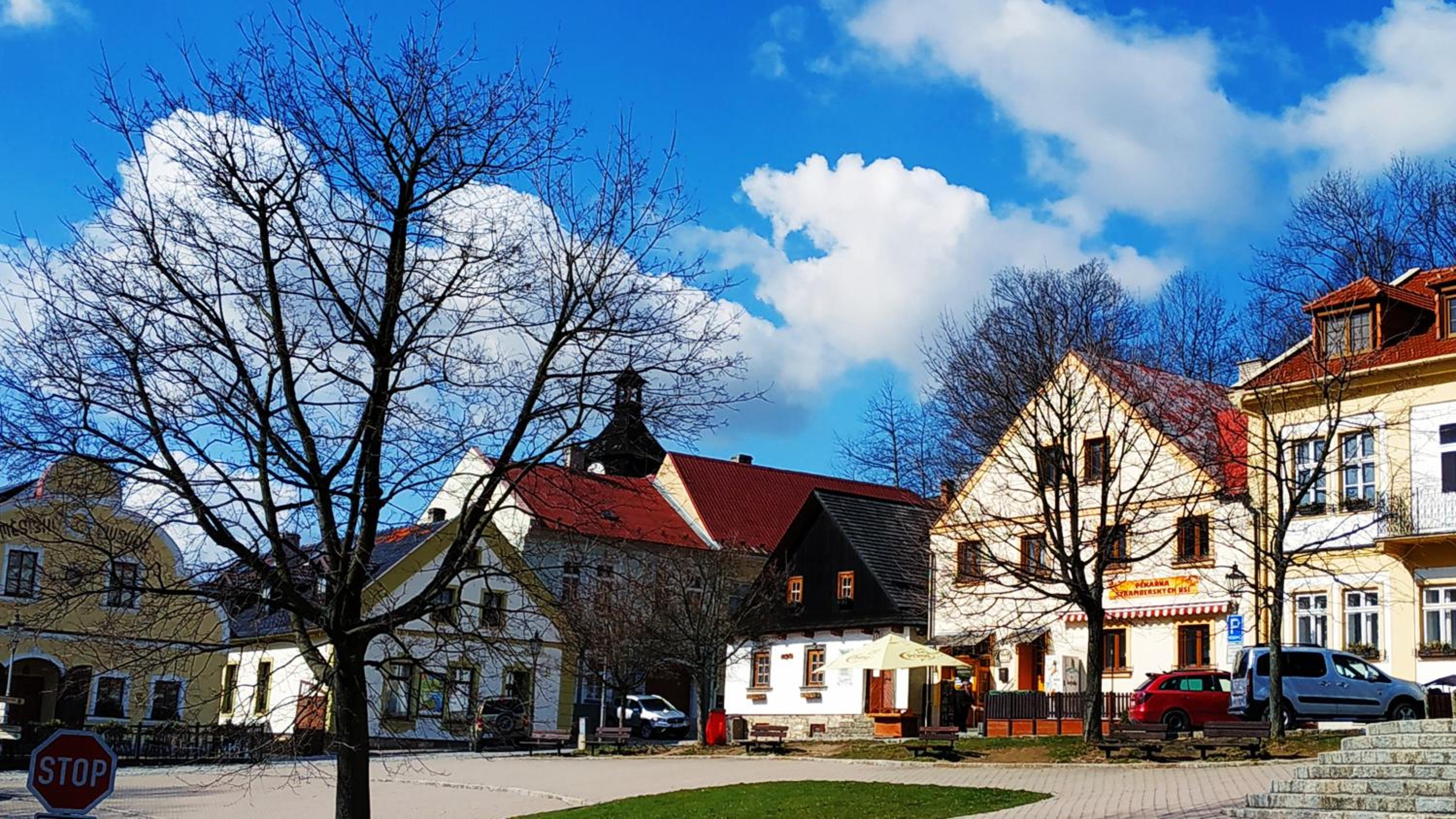 Photo 46