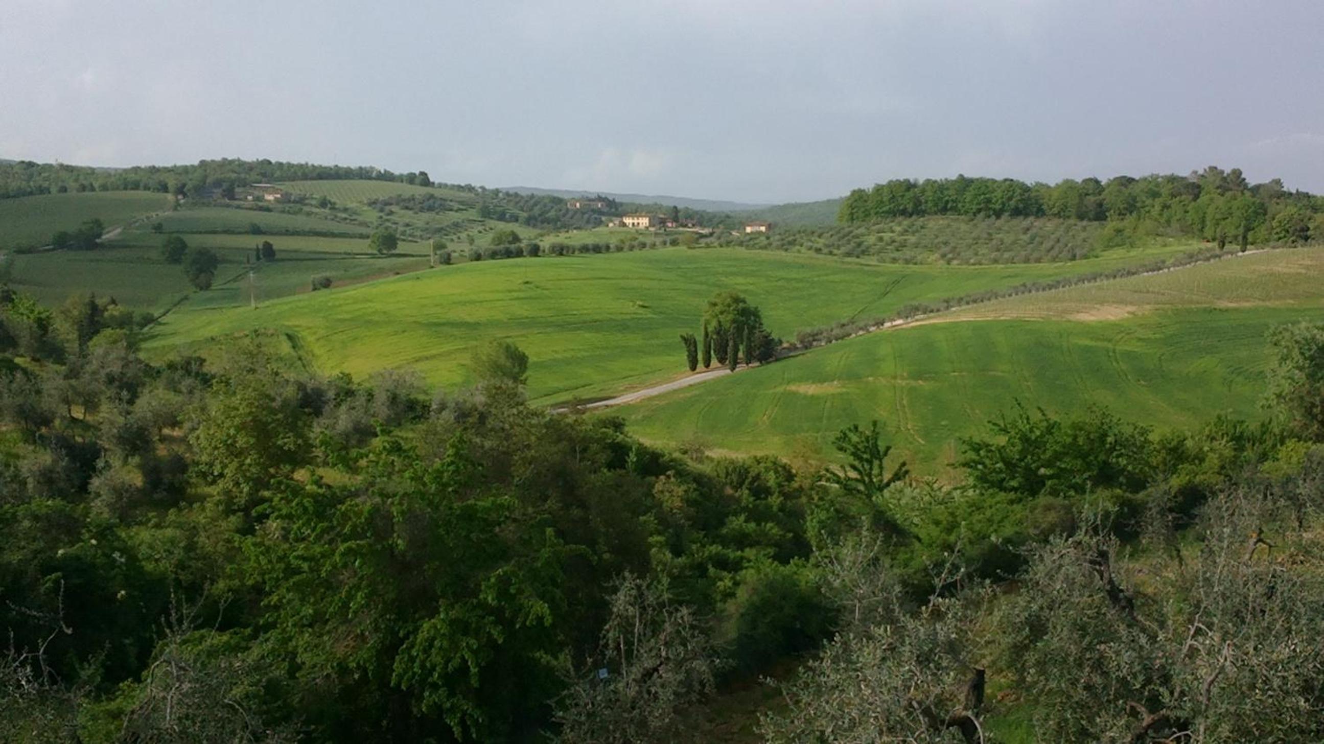 Podere San Quirico