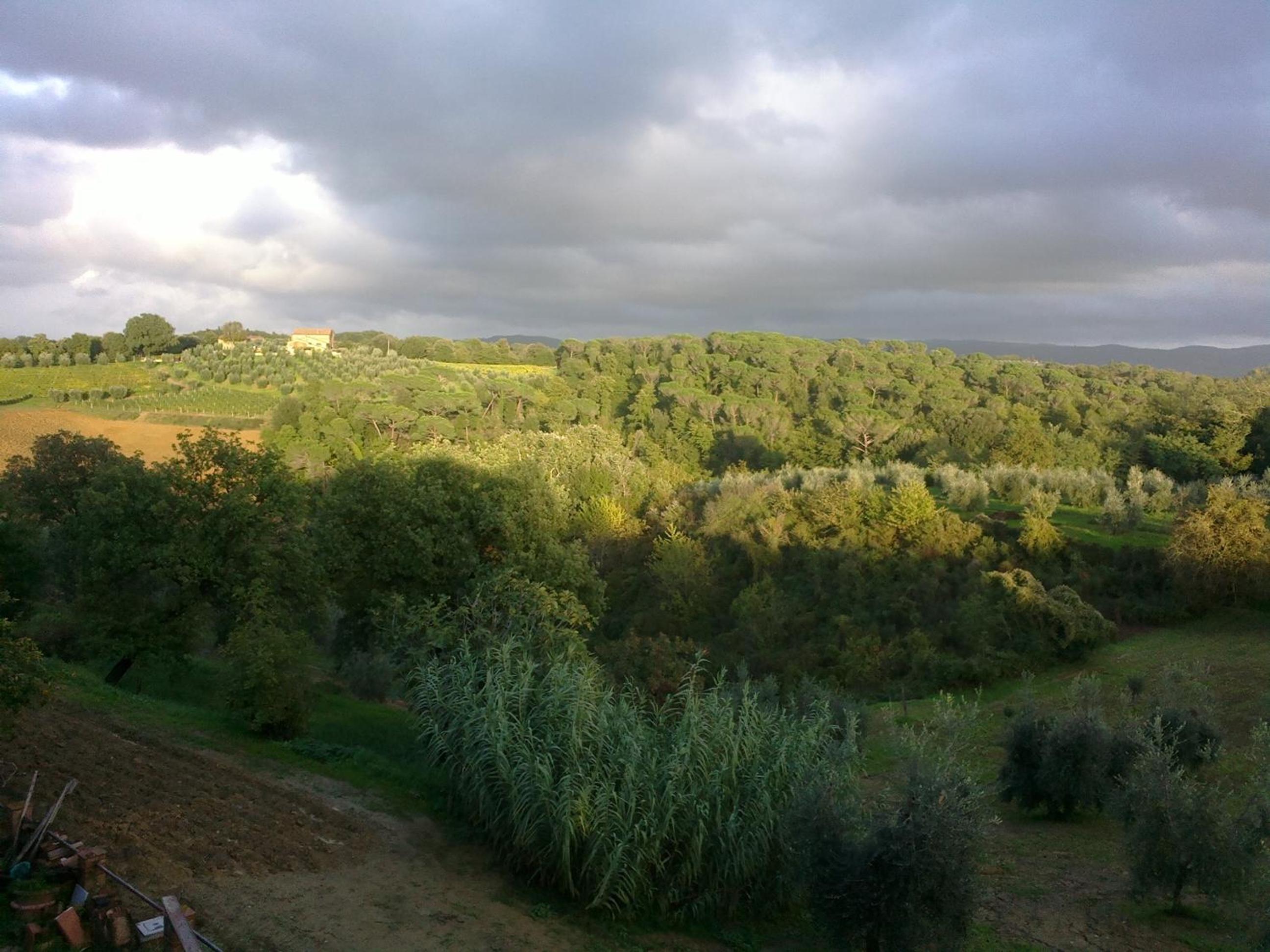 Podere San Quirico