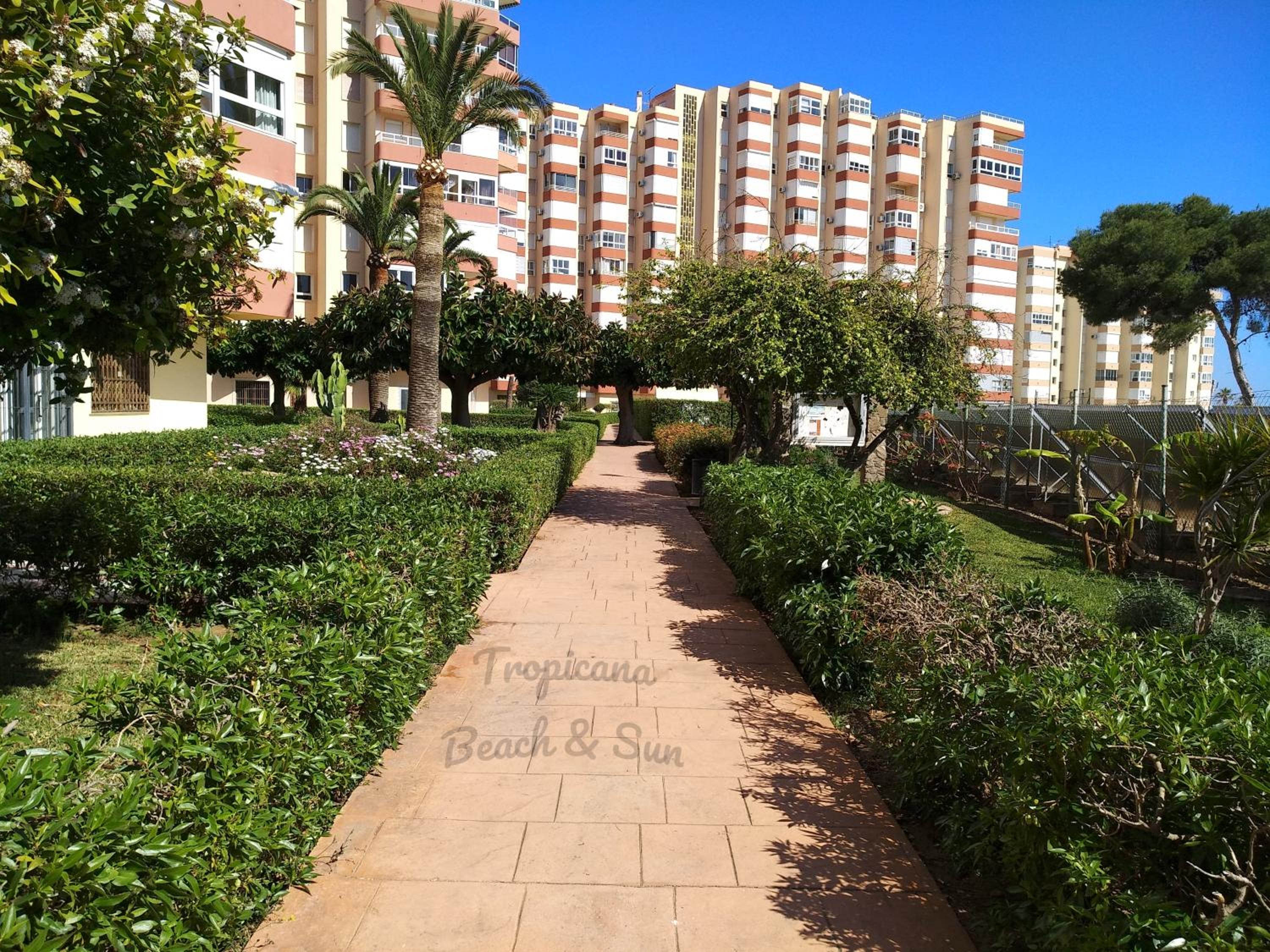 Tropicana Beach & Sun view 3
