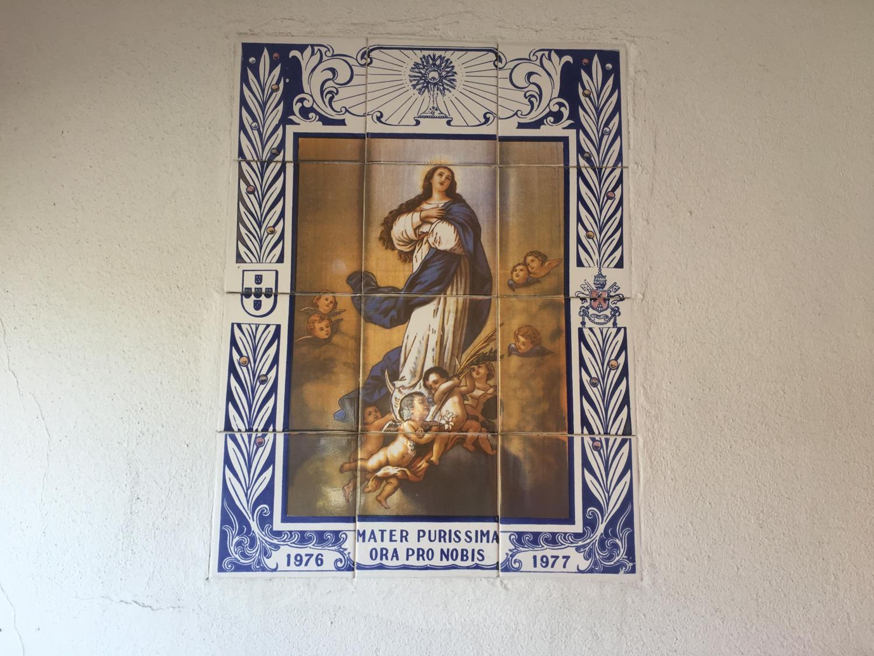 Photo 113