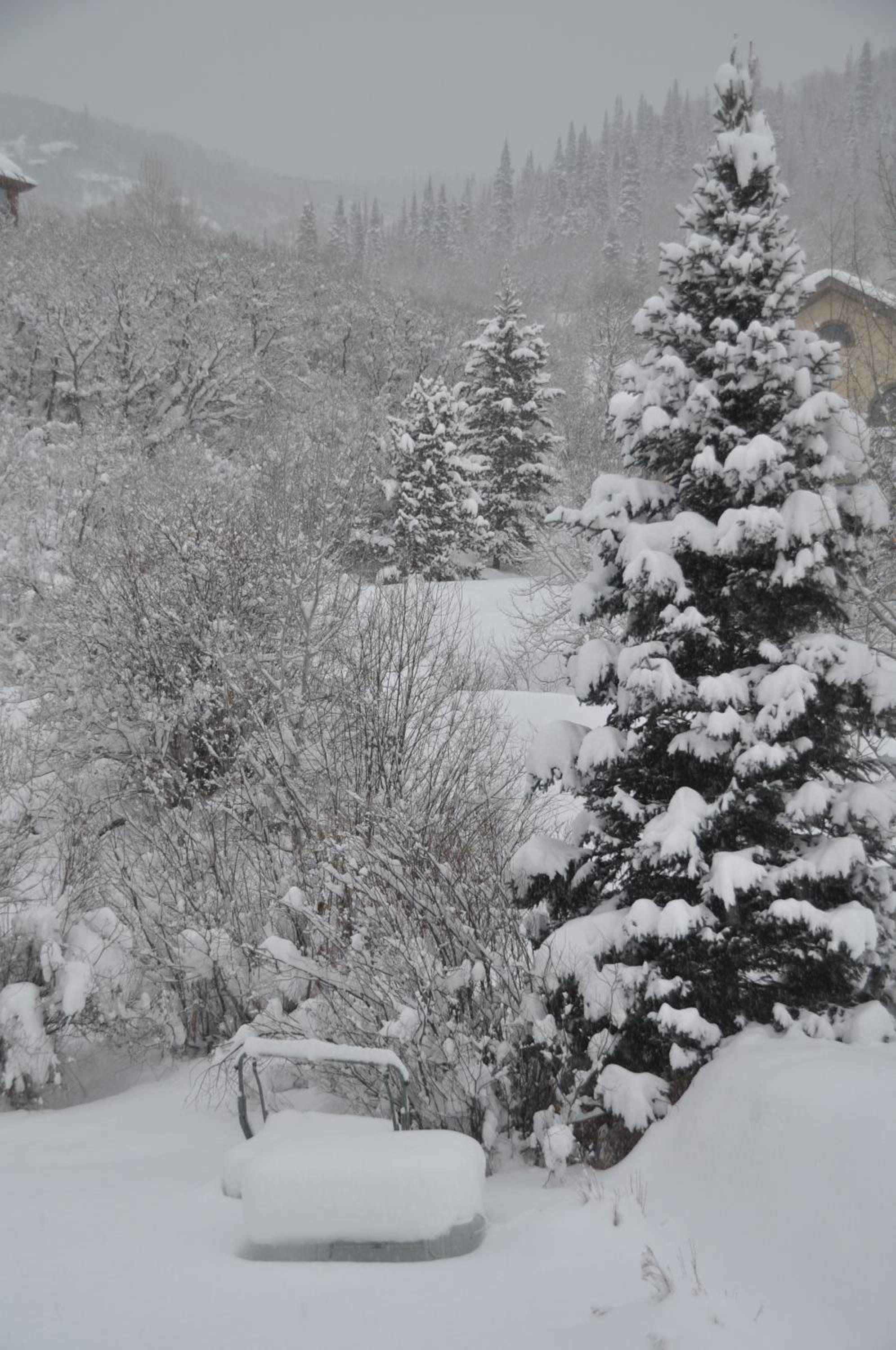 Chalet Val d'Isere