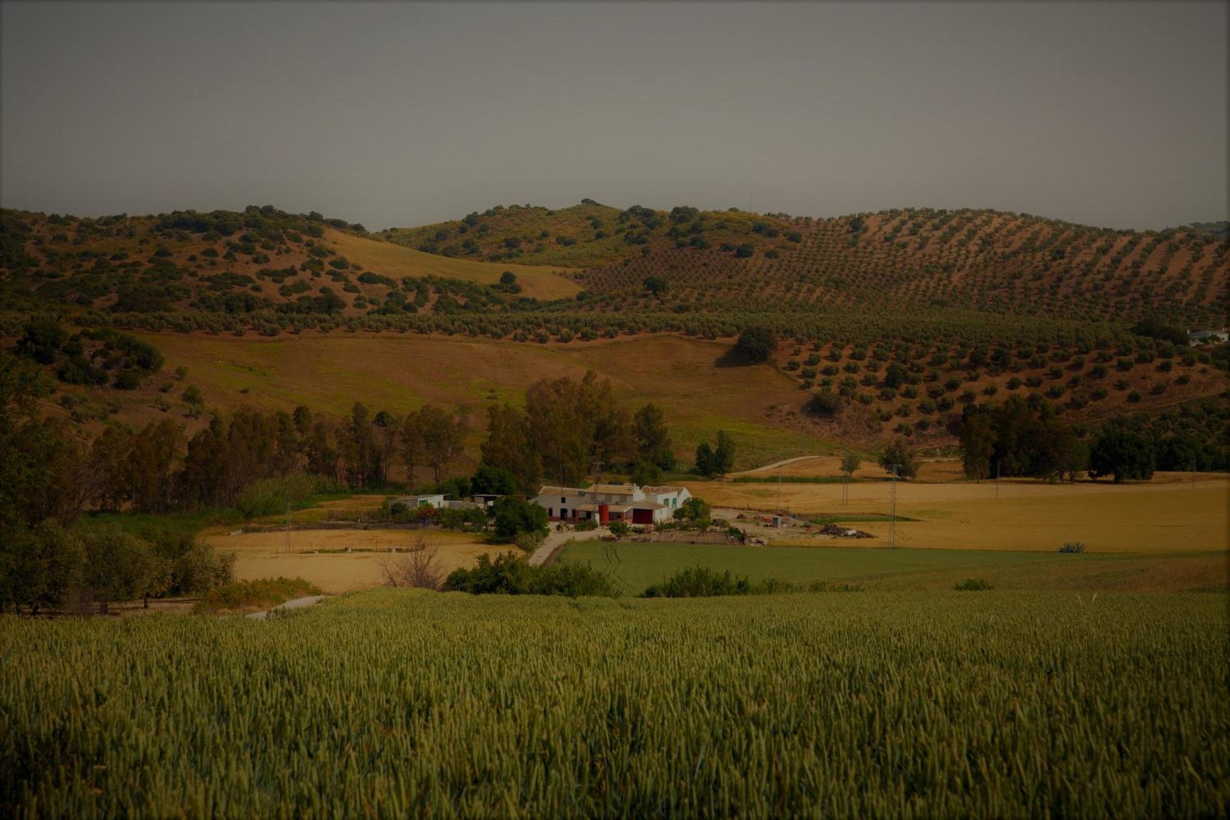 Casa Rural Asiento del Río view 3
