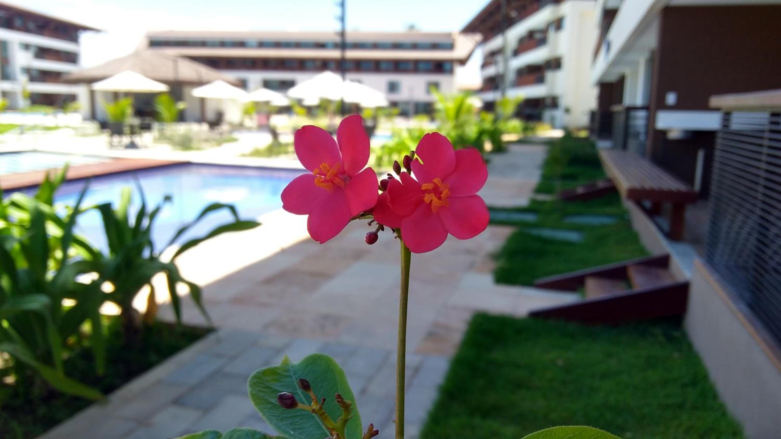 Cupe Beach Living - Frente Piscina