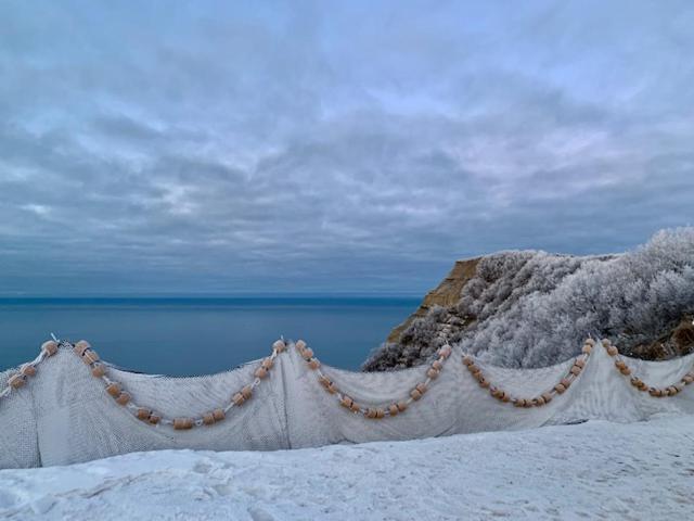 Homer Vacations - Baycrest Lodge - Property Image 4