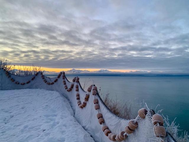 Homer Vacations - Baycrest Lodge - Property Image 5