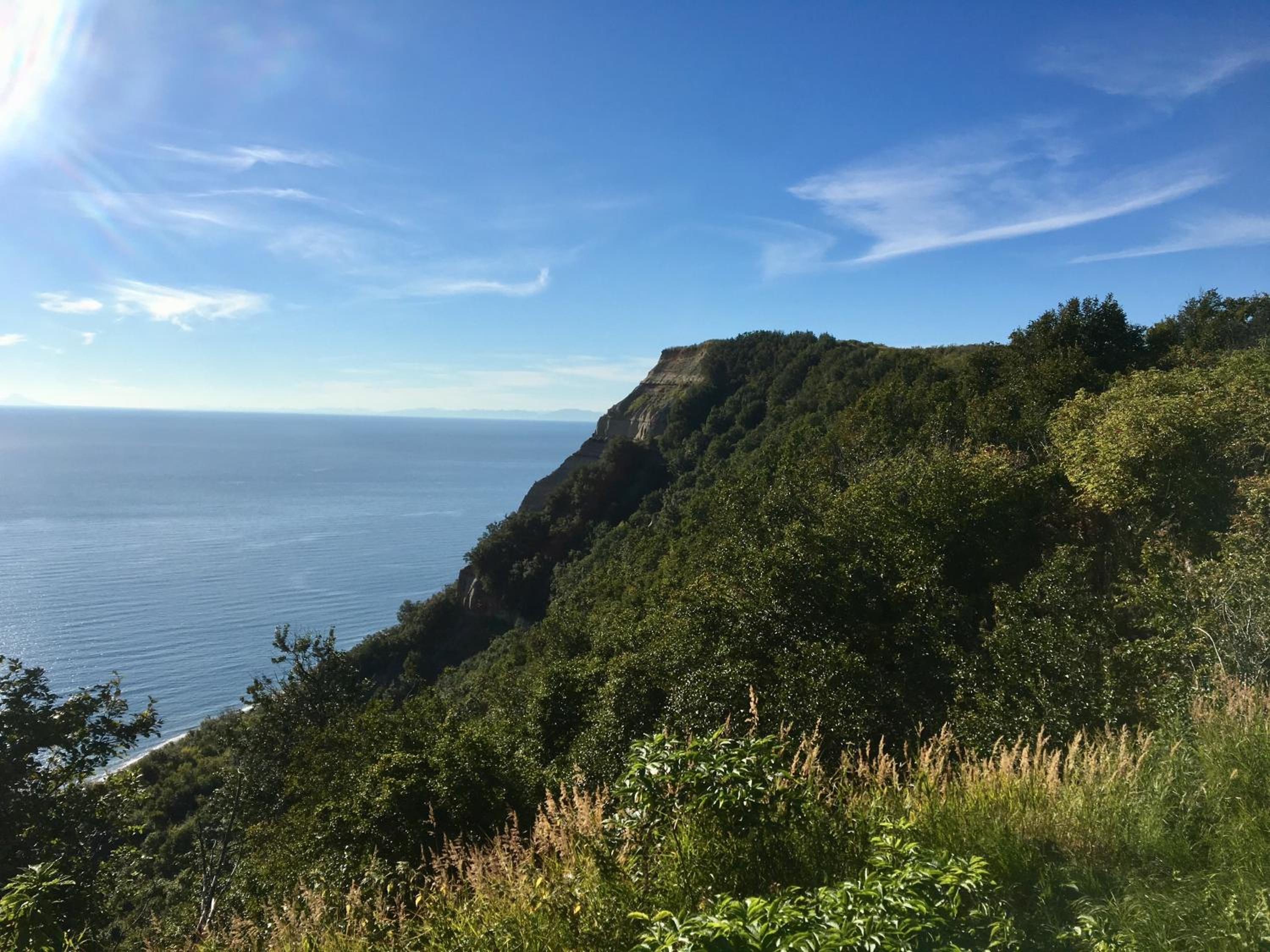 Homer Vacations - Baycrest Lodge - Property Image 3