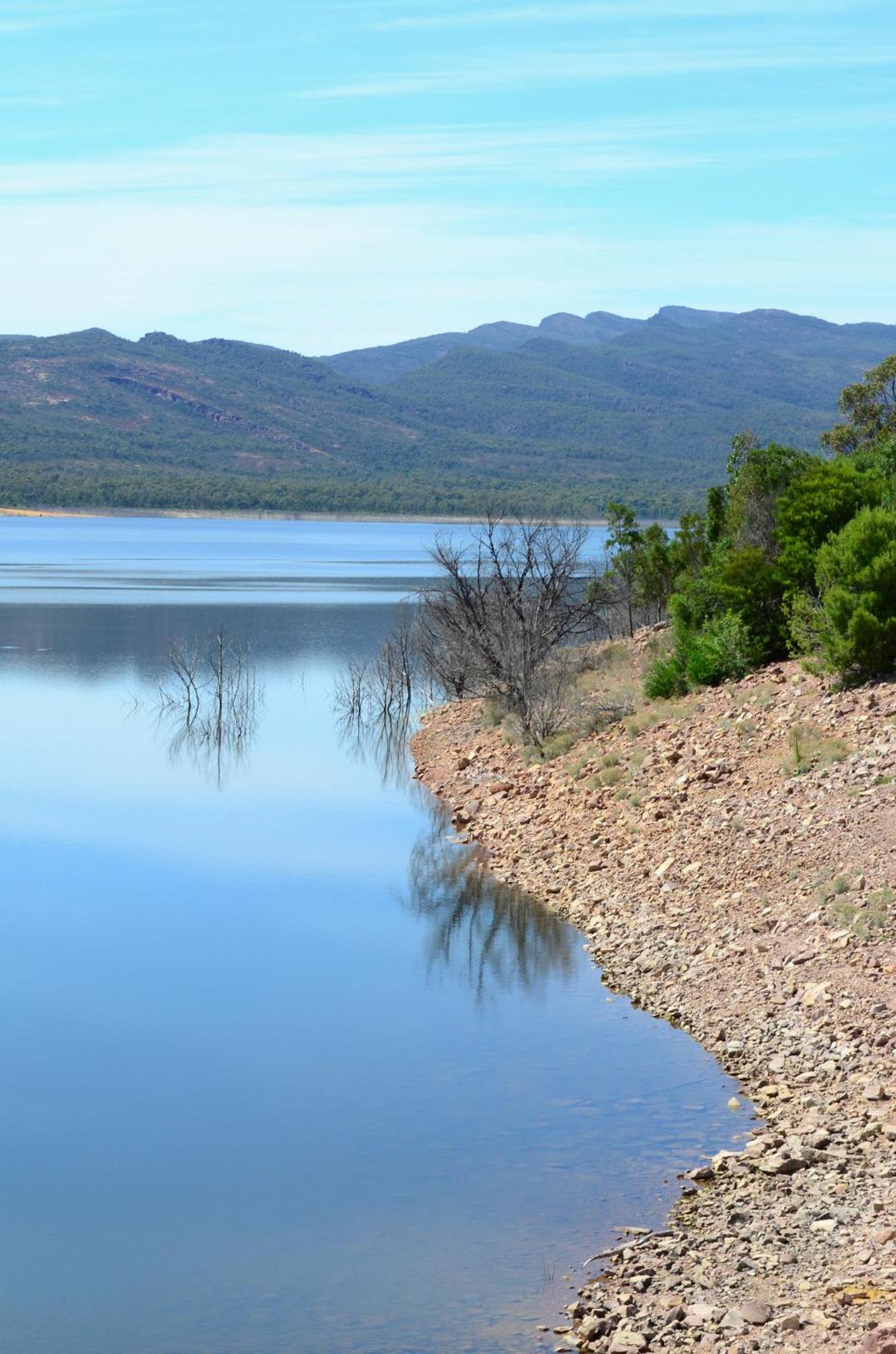 Bushland