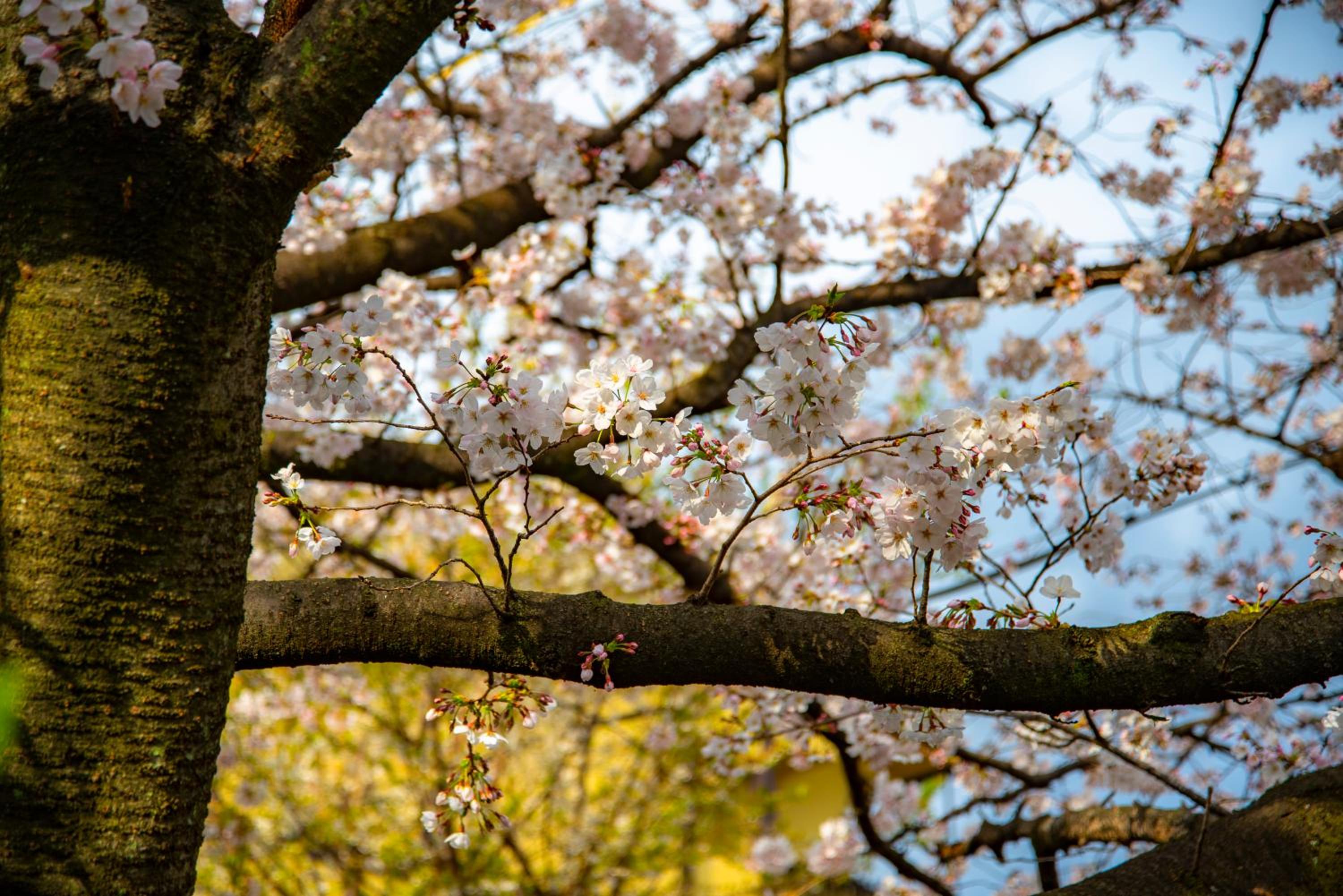 Kyoto Takasegawa Bettei 27