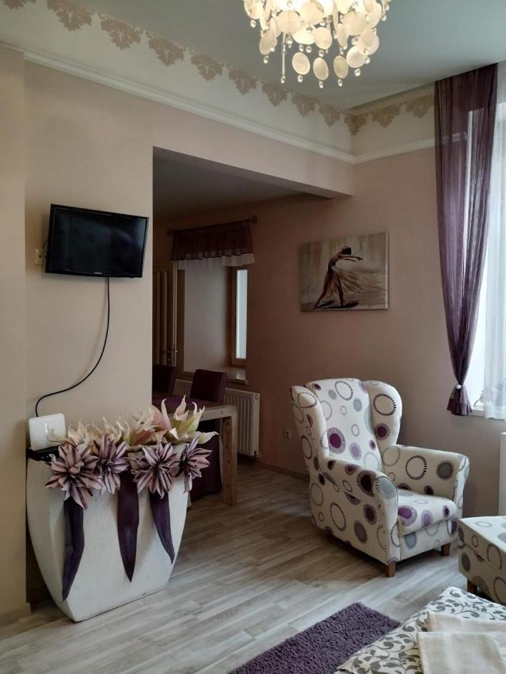 Király Apartman view 3