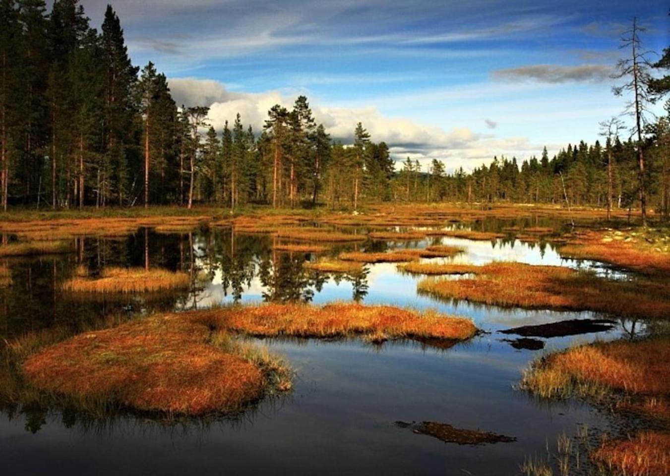 Photo 40