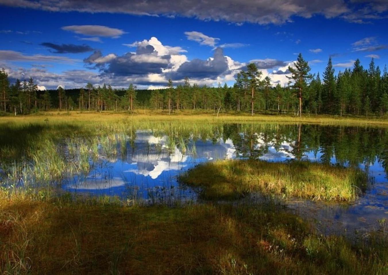 Photo 52