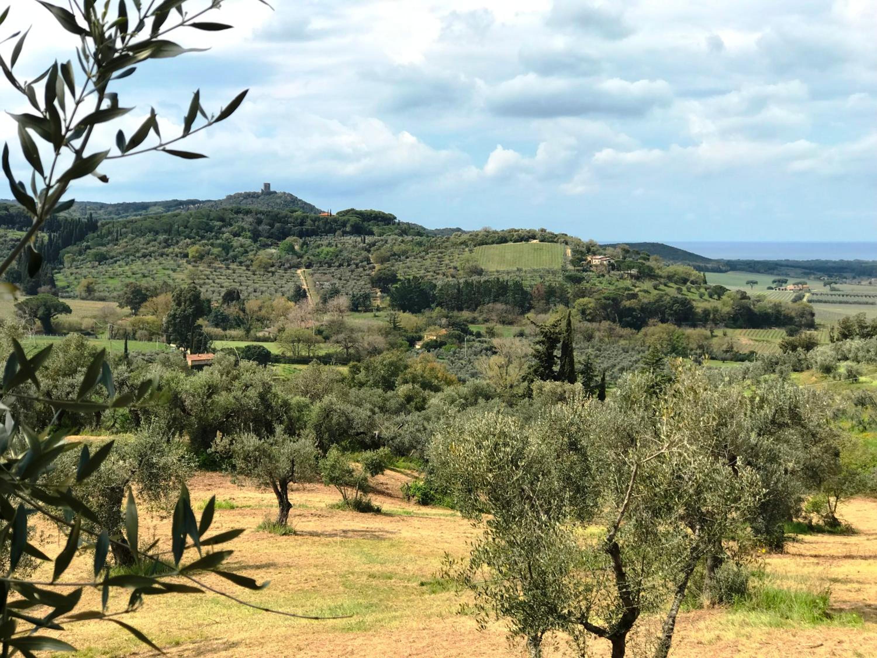 Relais dei Molini - Villa dei Molini