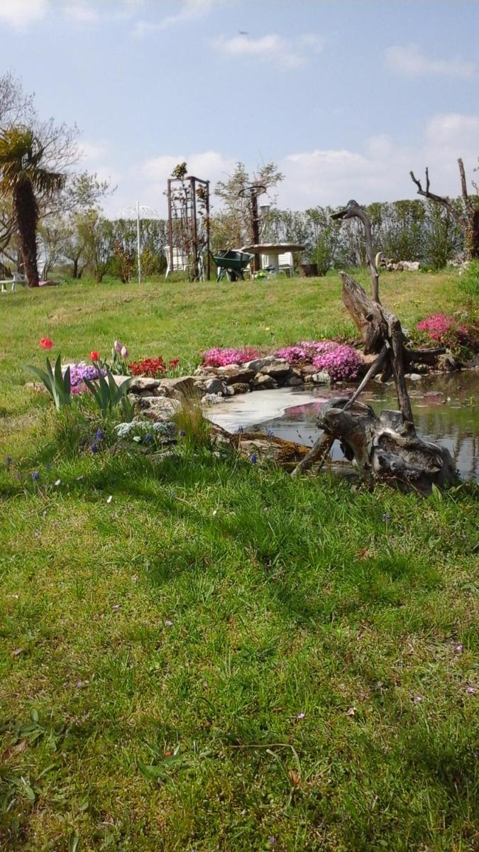 Photo 37