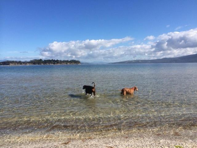 Discover Bruny Island Holiday Accommodation