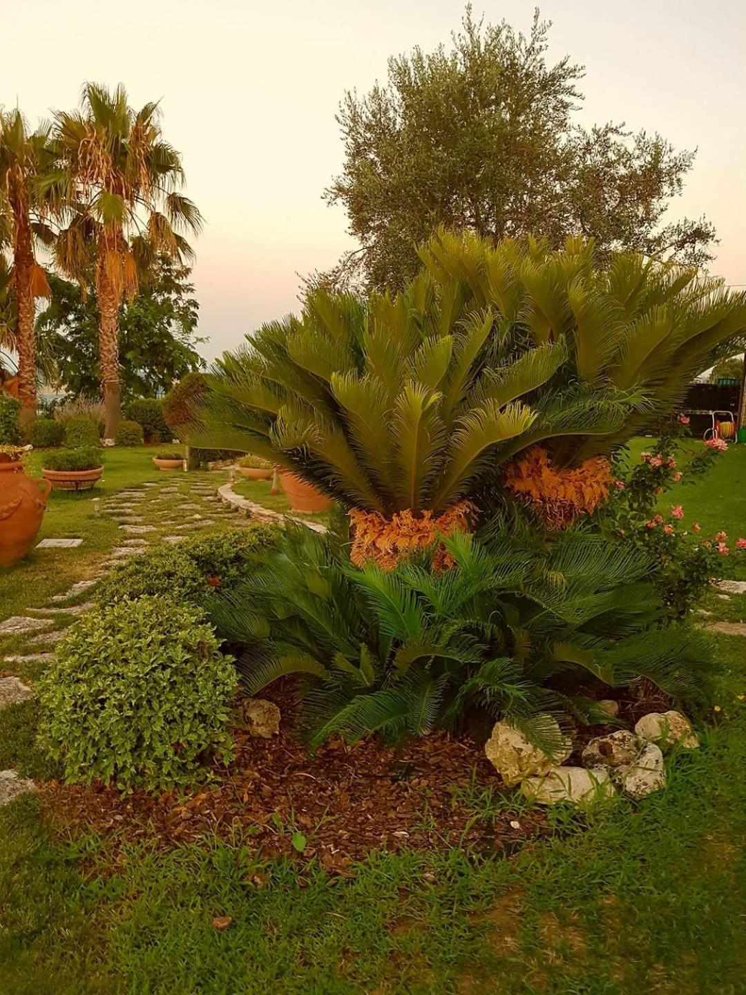 B&B Villa Moen view 5