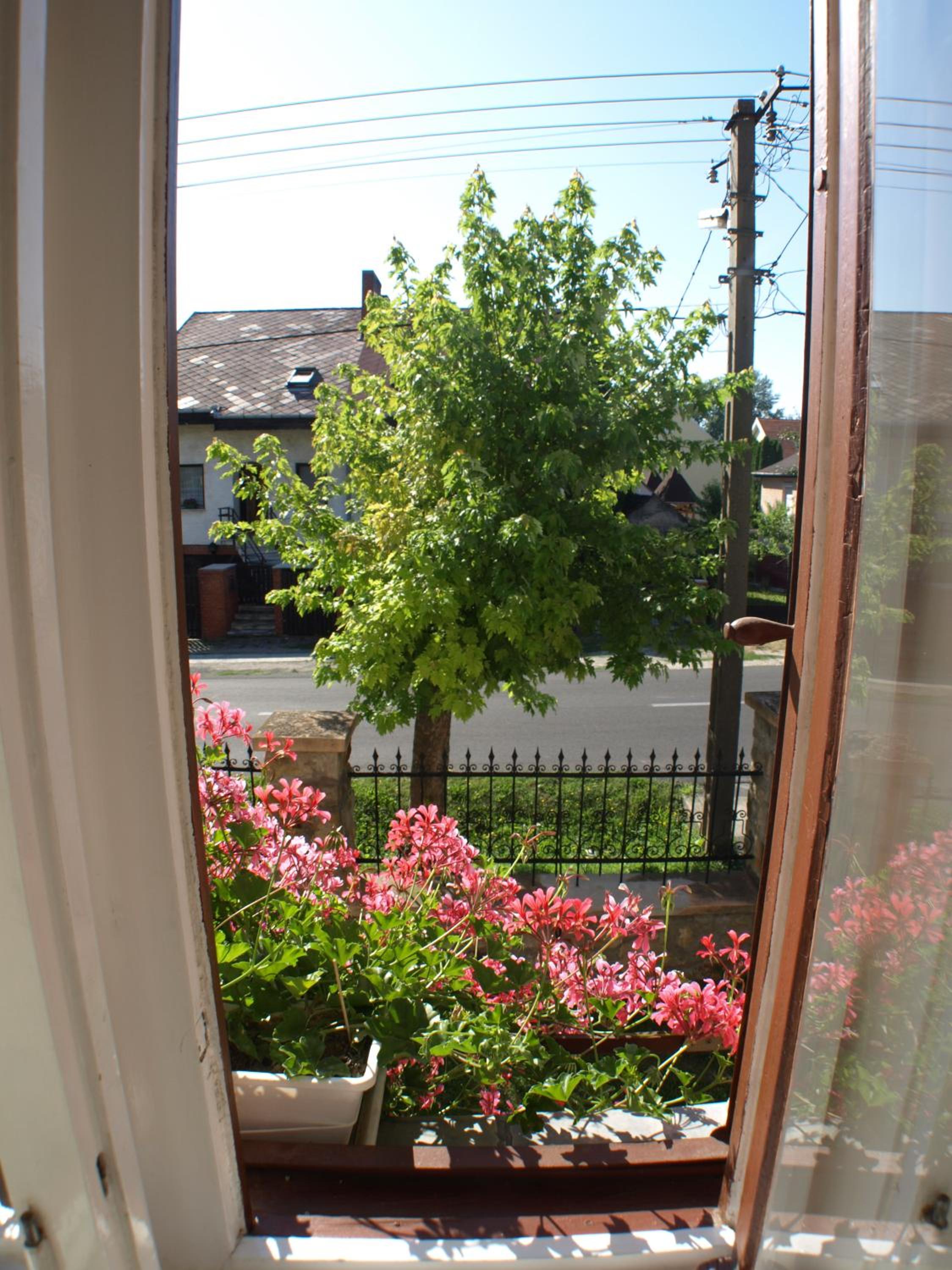 Photo 63