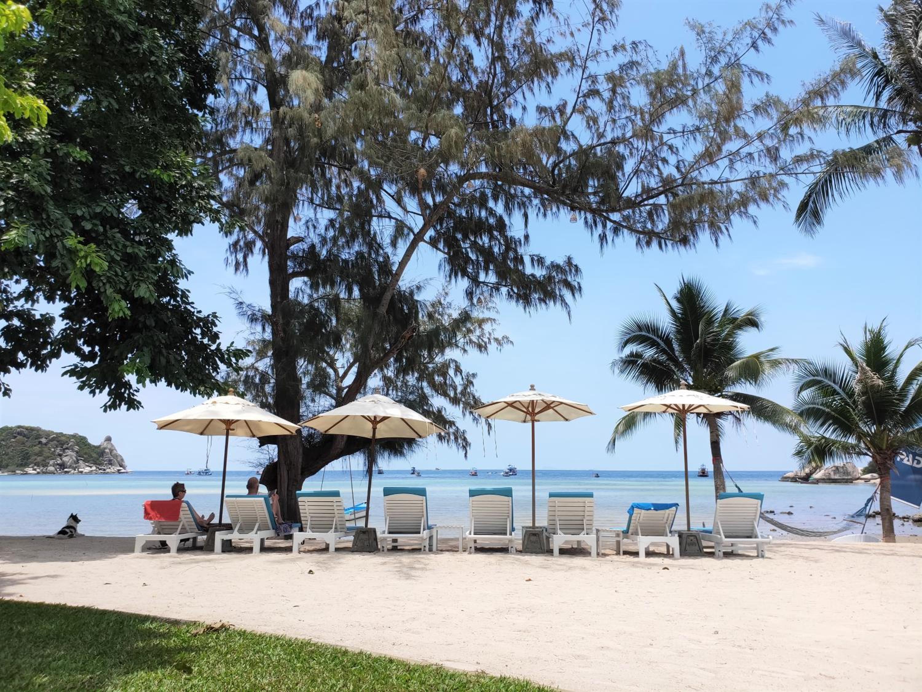 Assava Dive Resort - SHA Plus