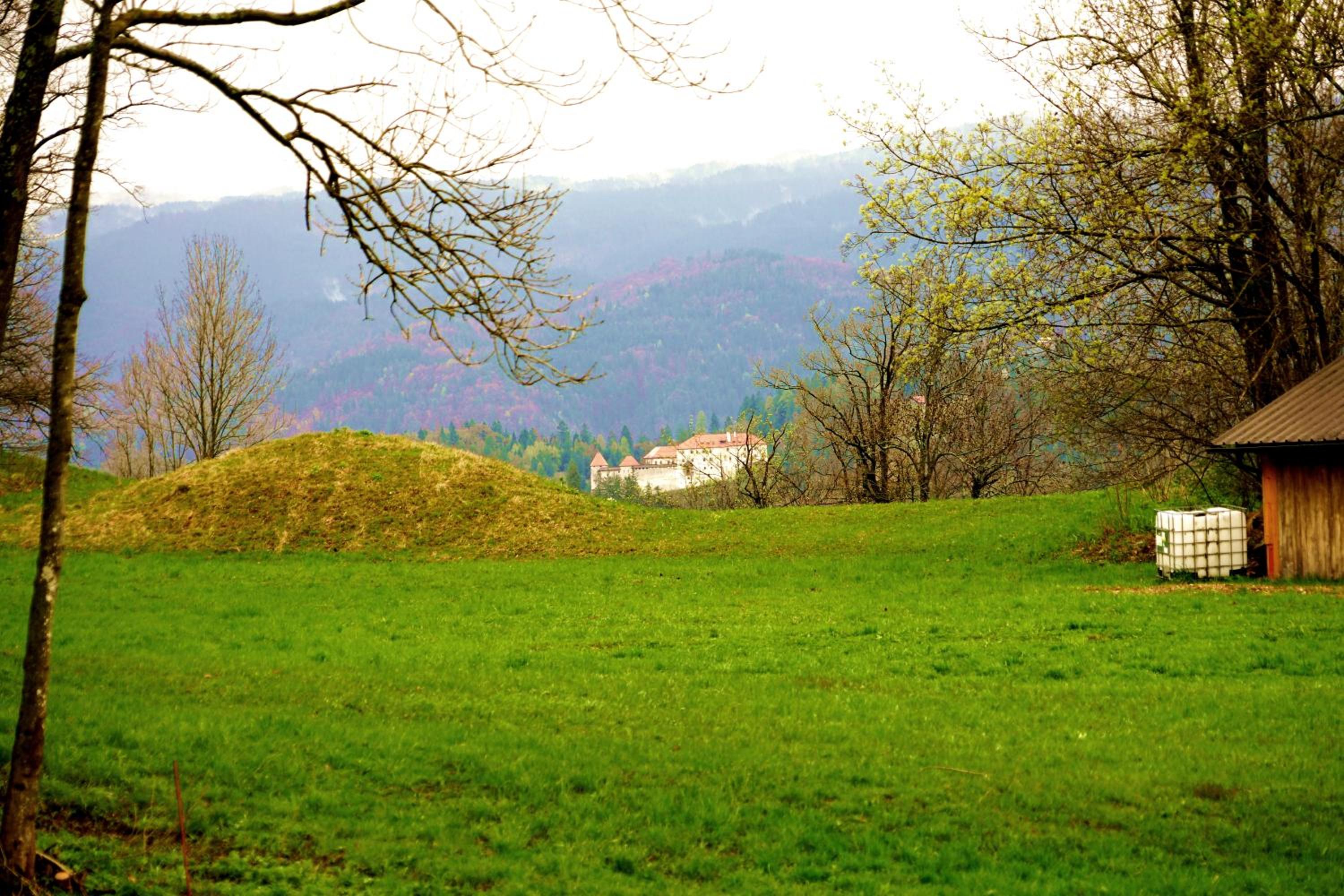 Photo 27