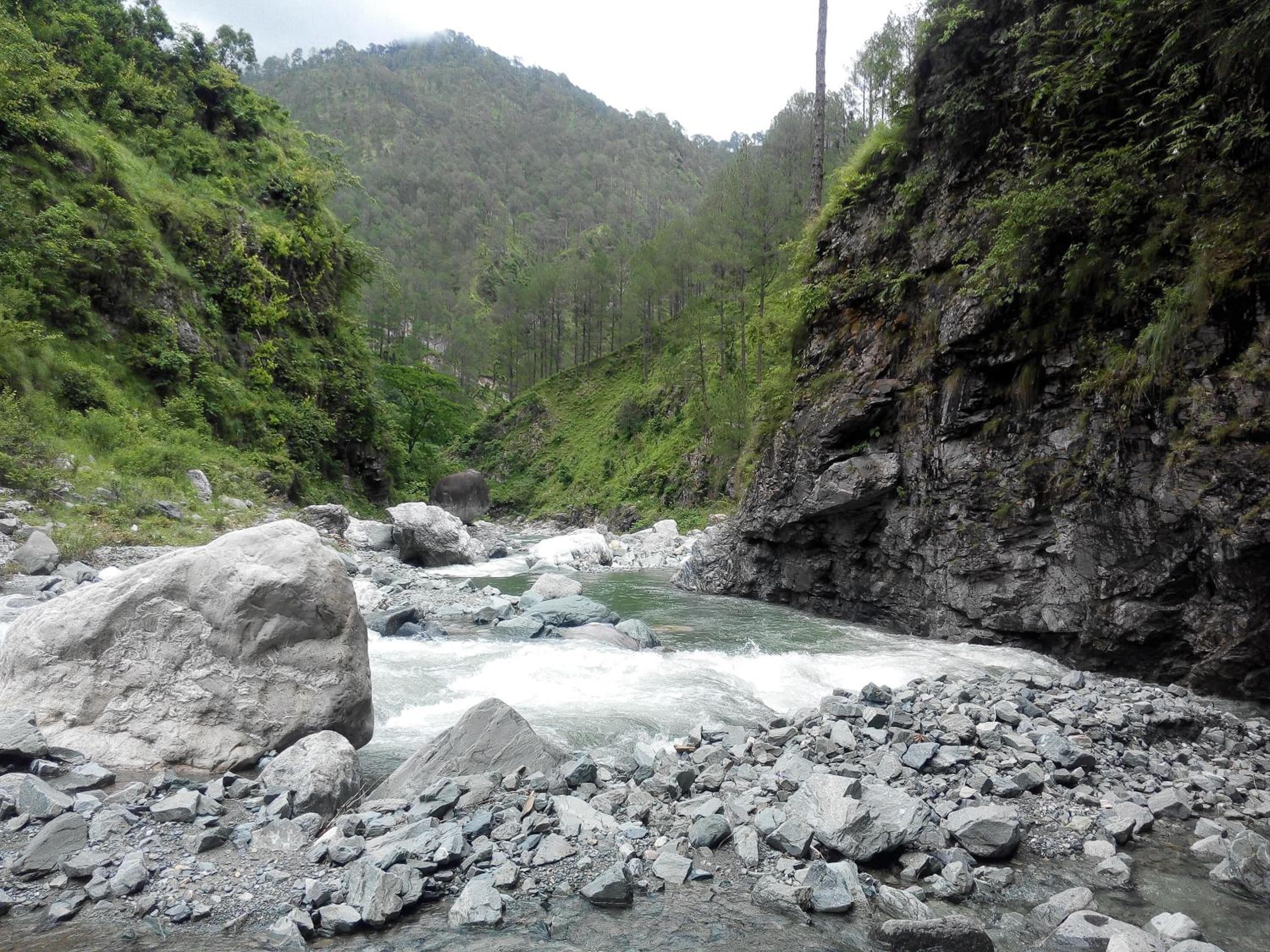 Silent Valley- Alchauna along river Kalsa view 4