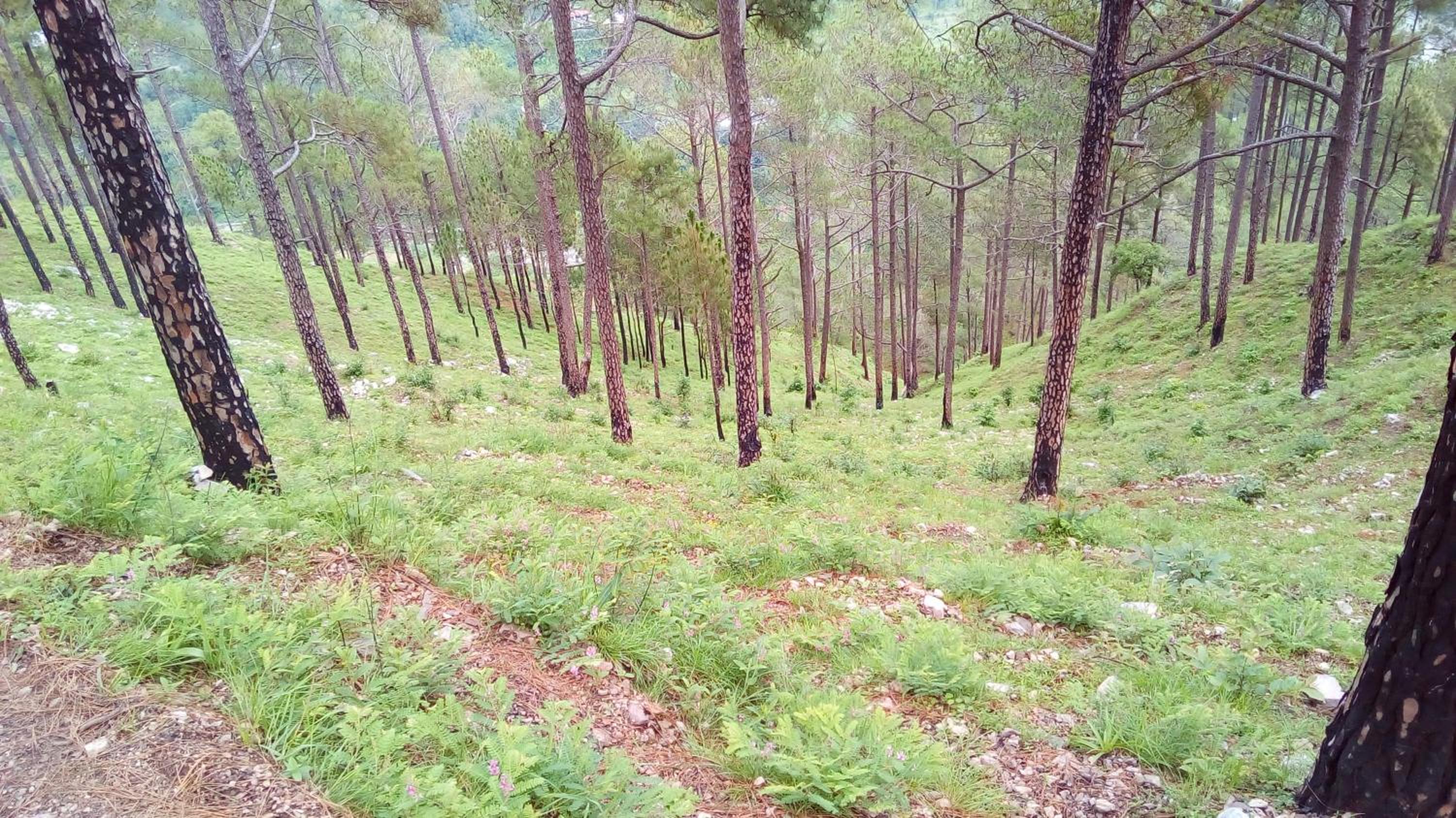 Photo 9