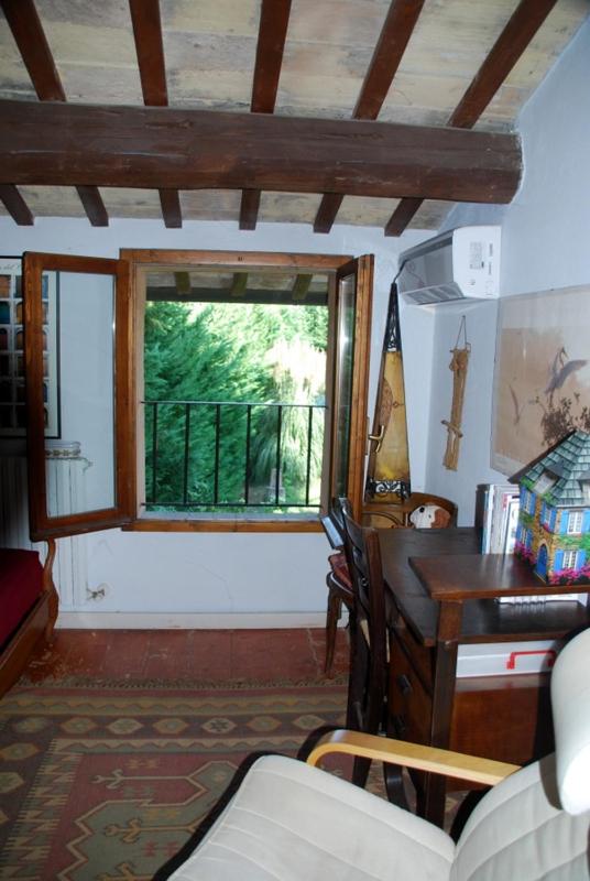 Camomilla, fotografía 2