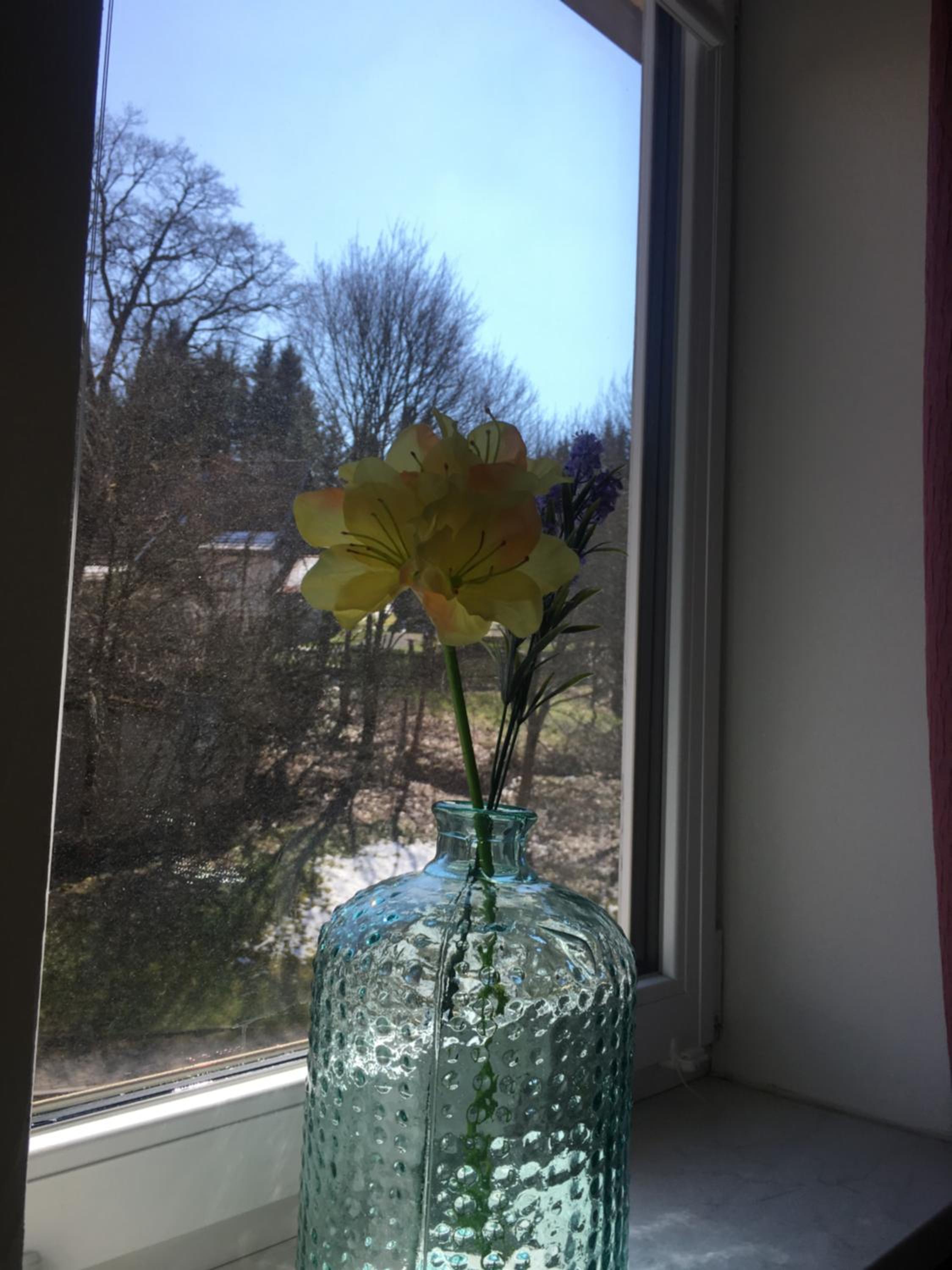 Photo 32