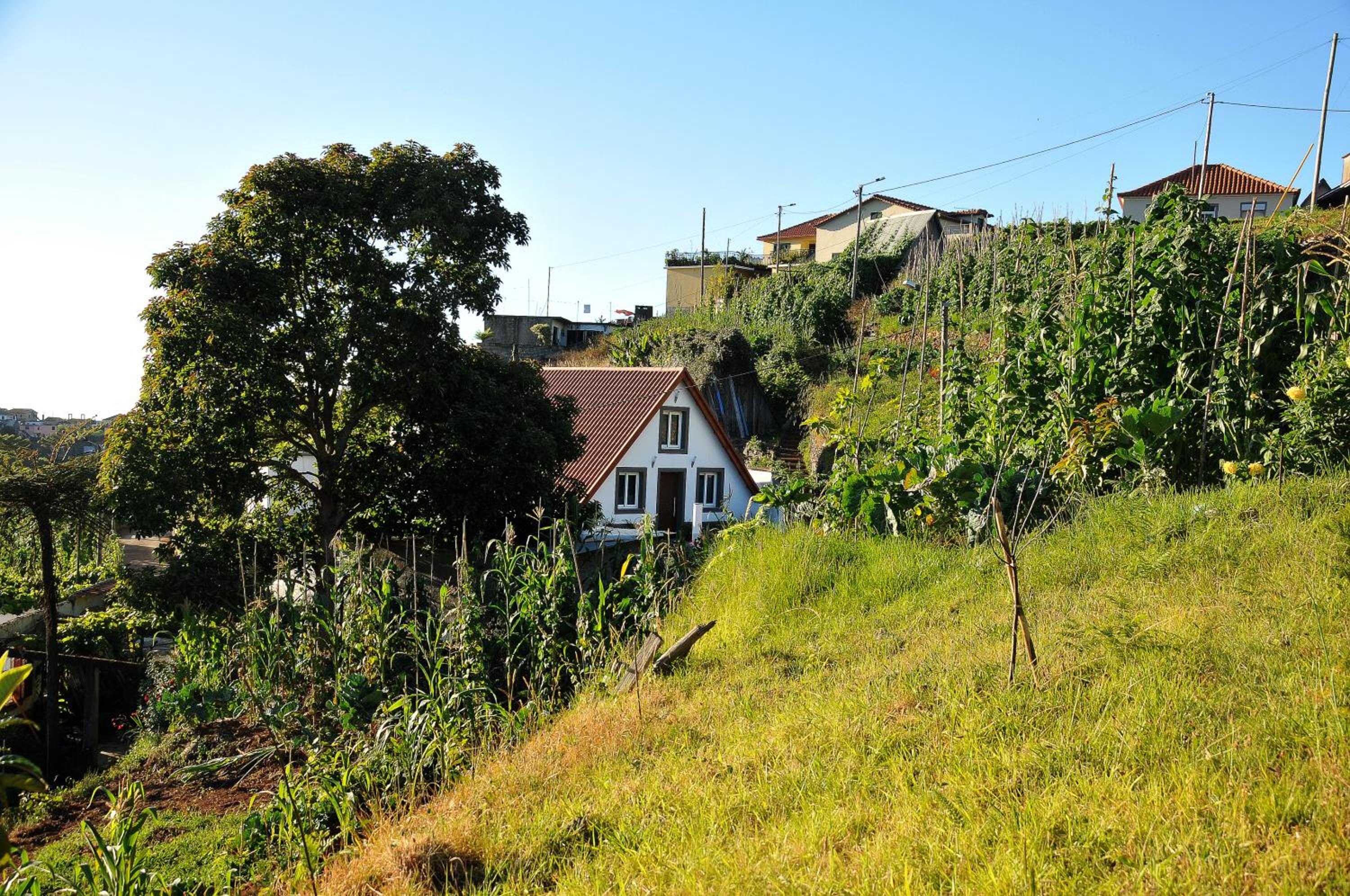 Casa Típica de Santana – Casa do Avô view 5