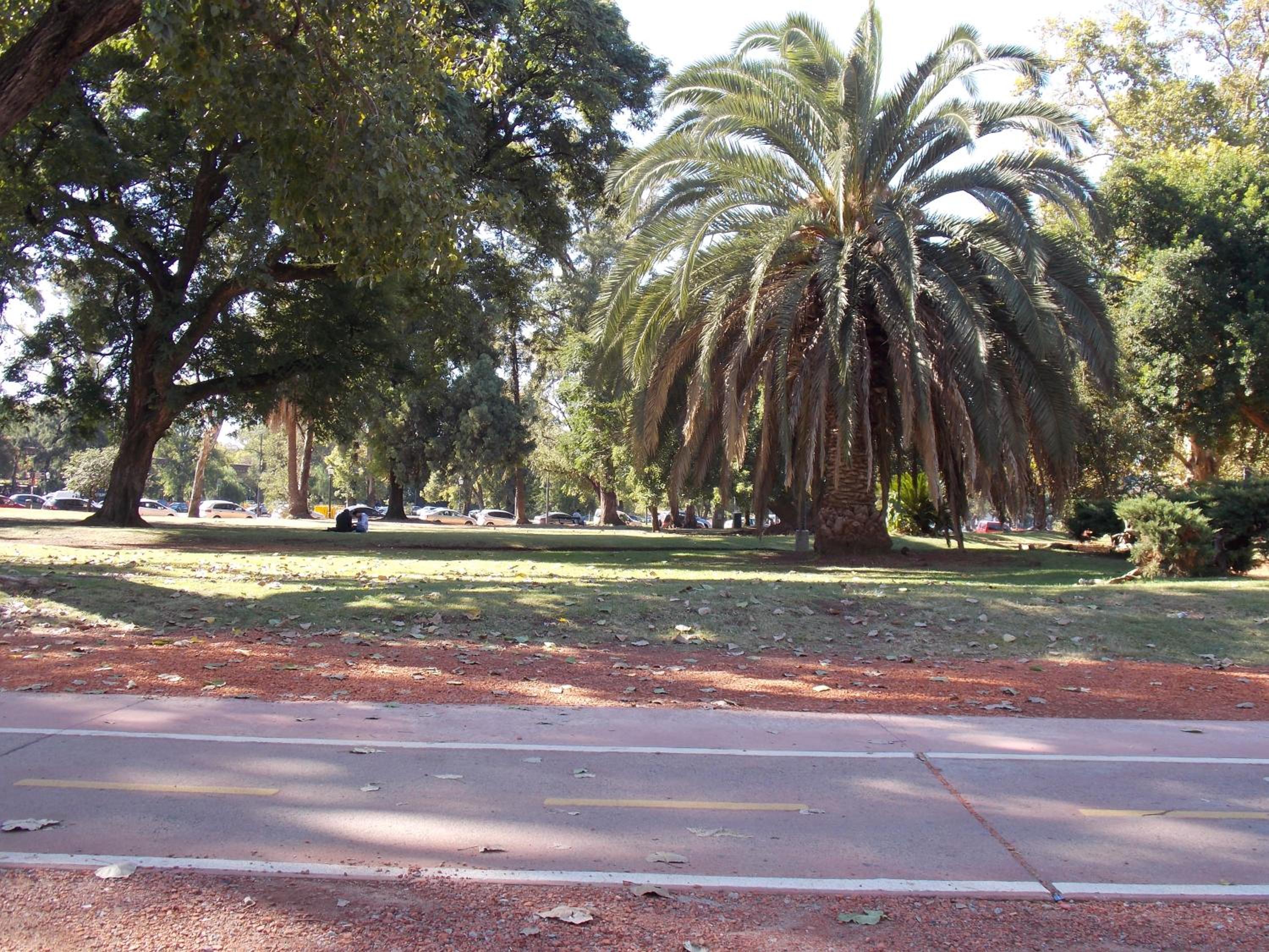 Bosques & Lagos Palermo