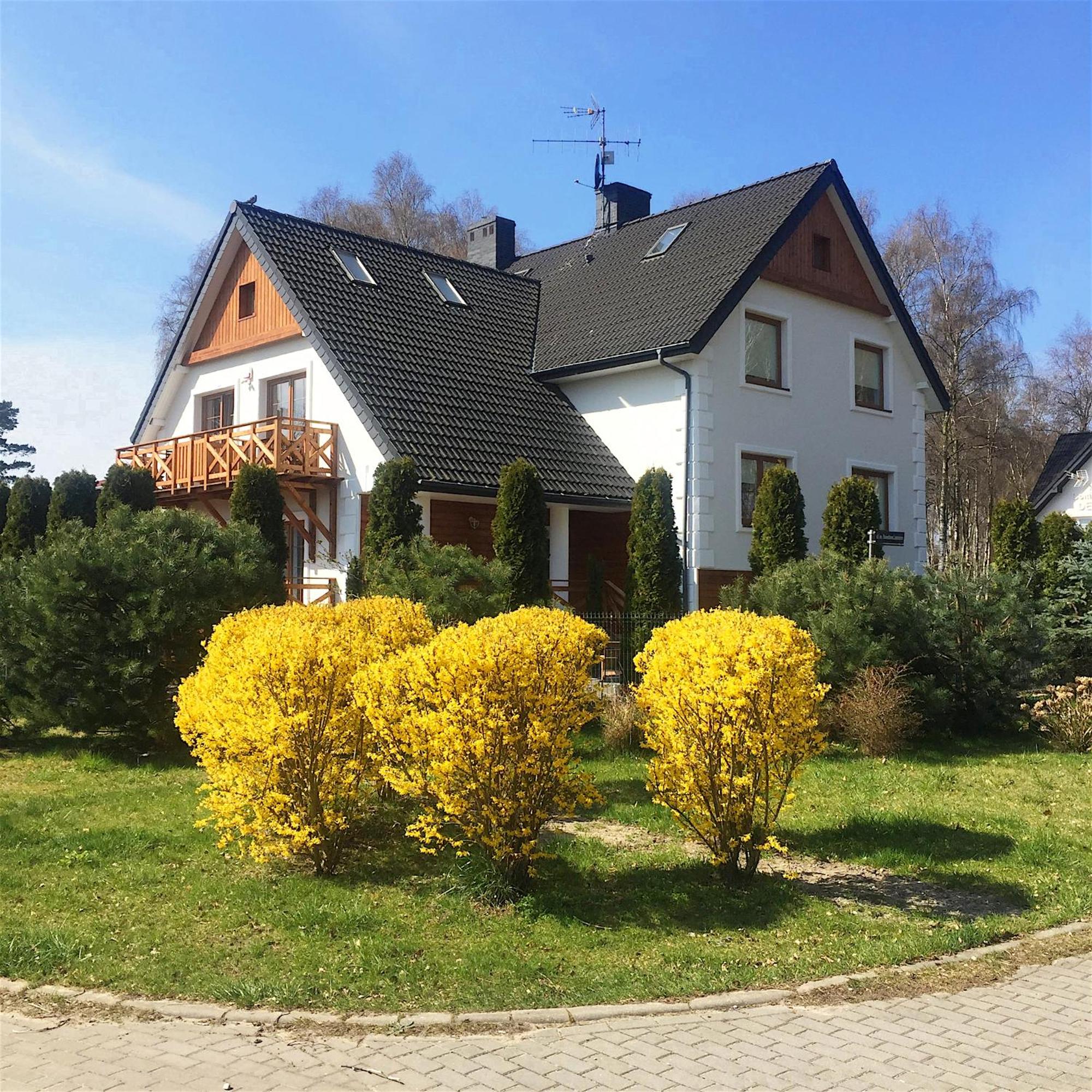 Photo 42