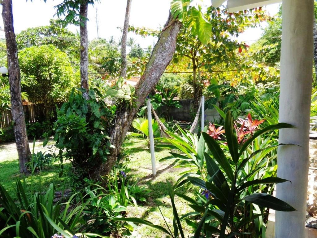 Casa das Arvores