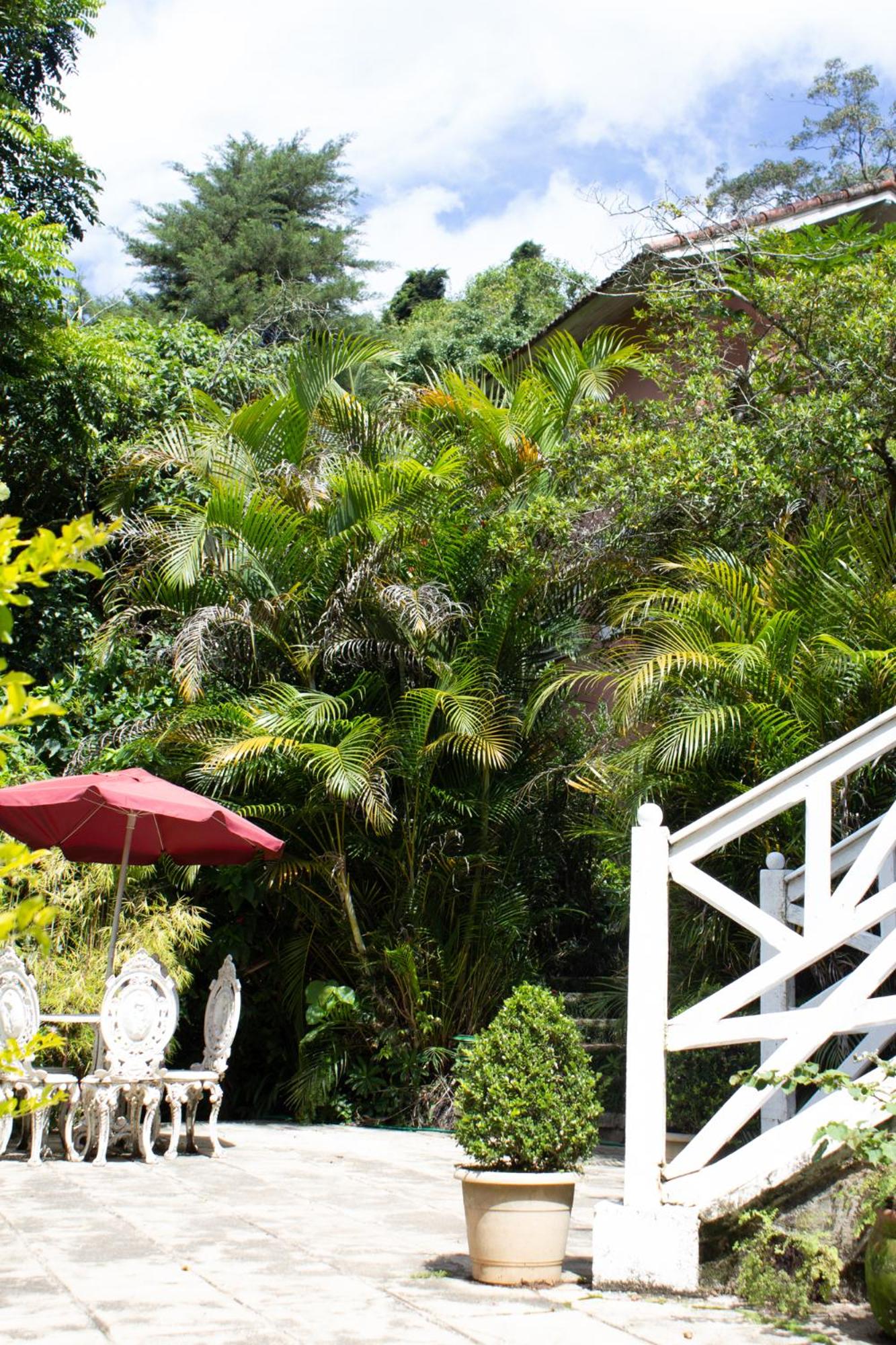 Villa Violeta