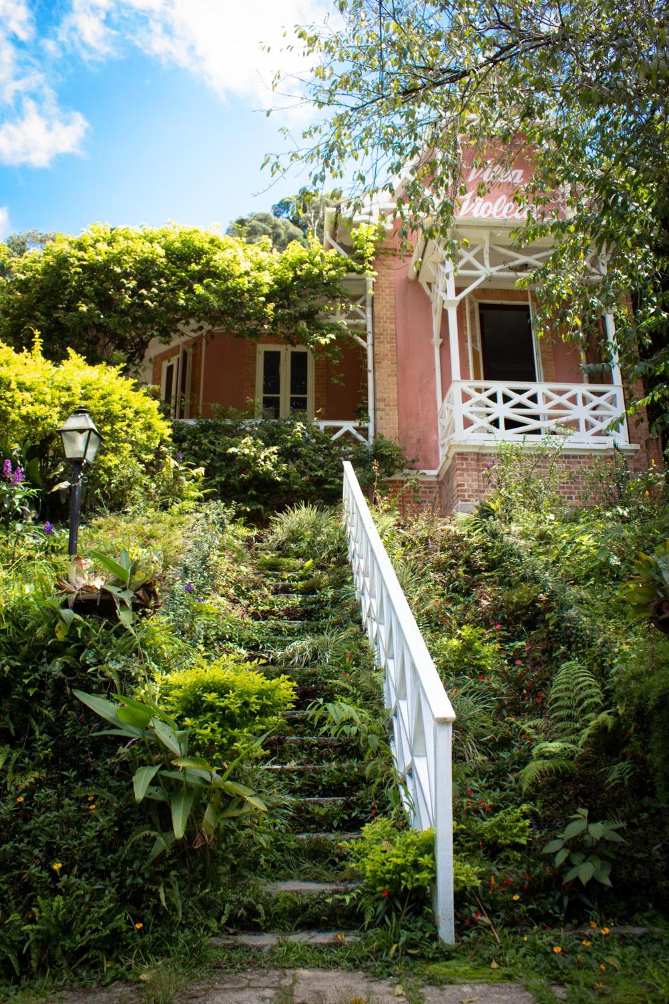 Villa Violeta