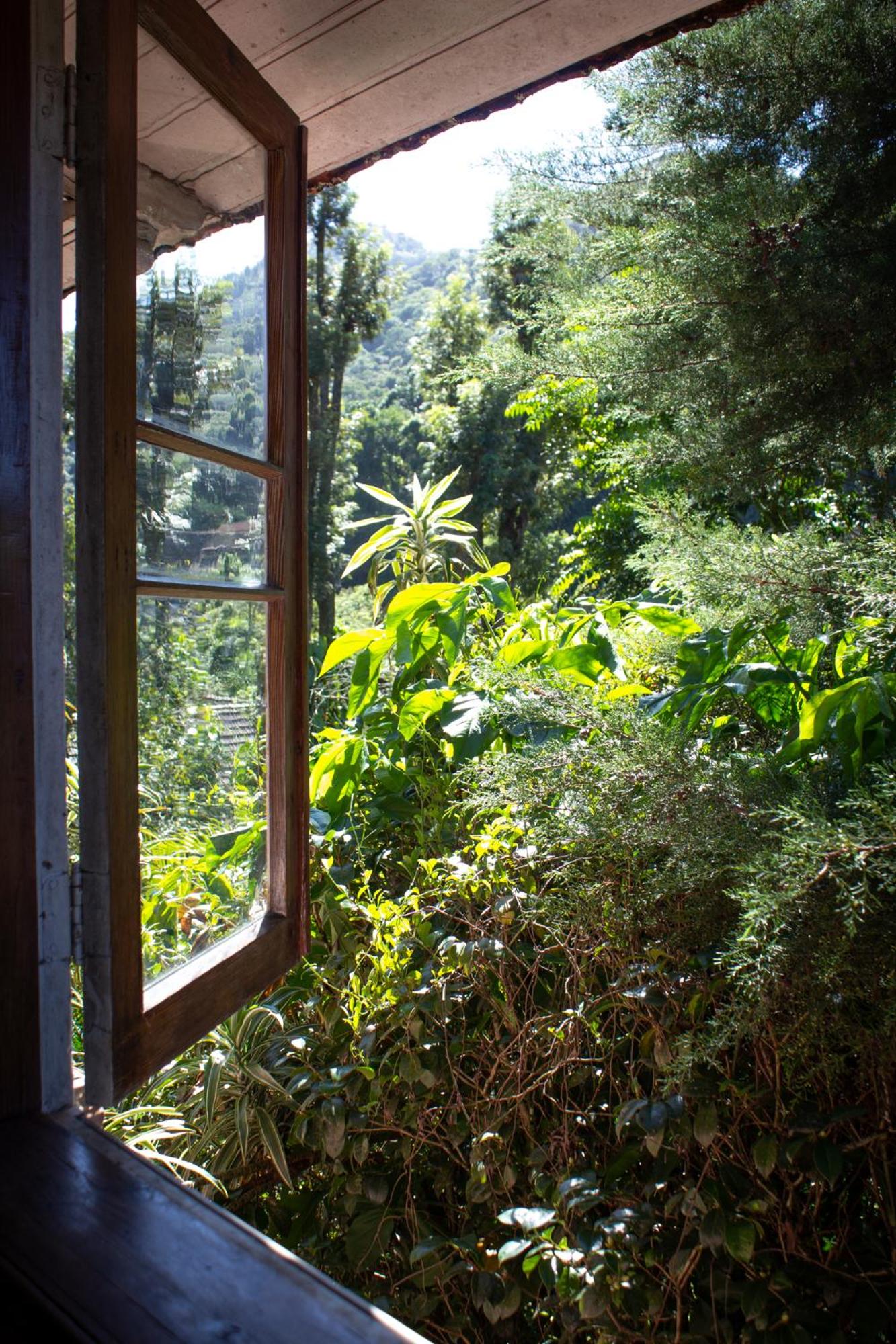 Villa Violeta