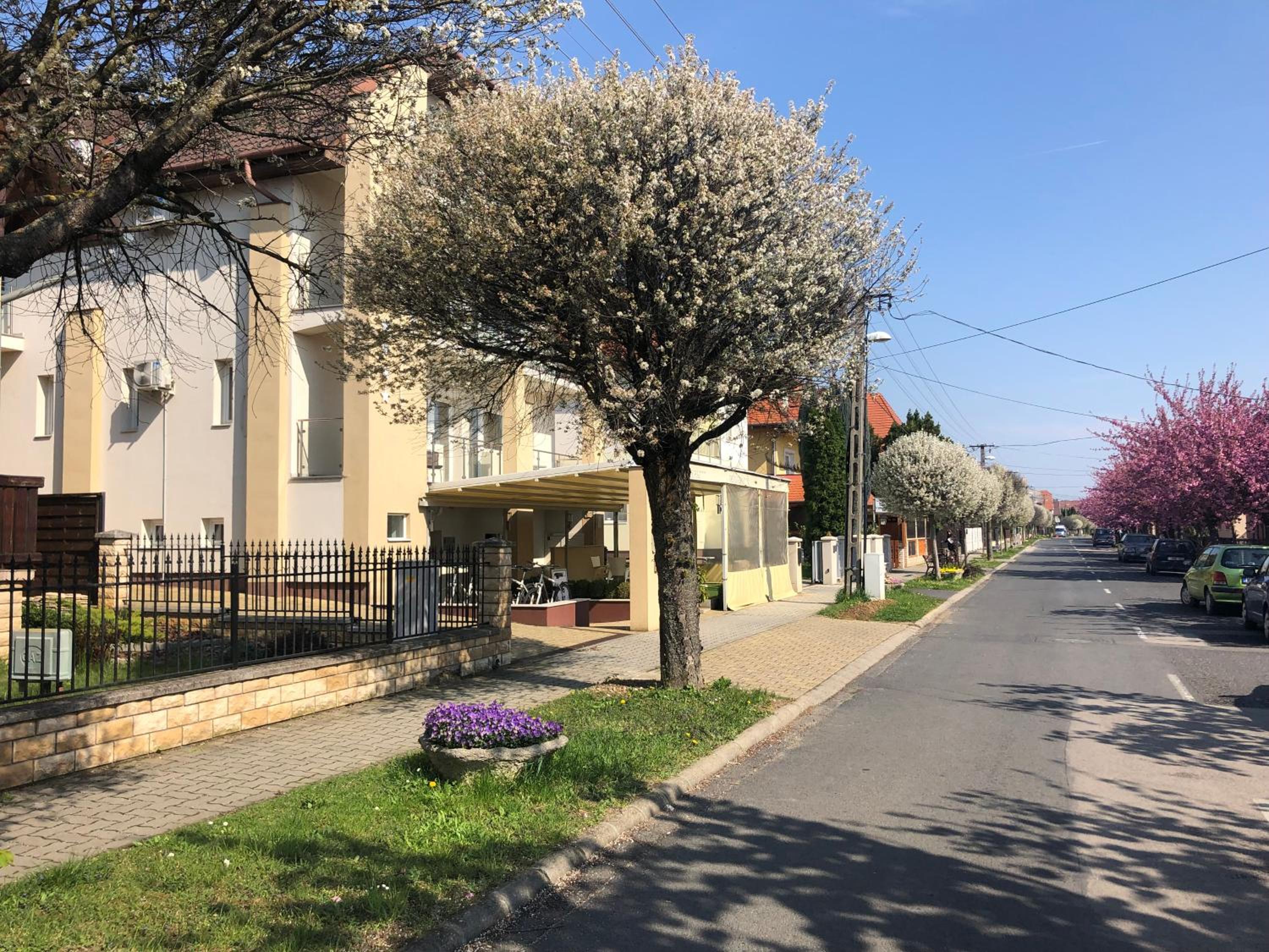 Villa Prestige