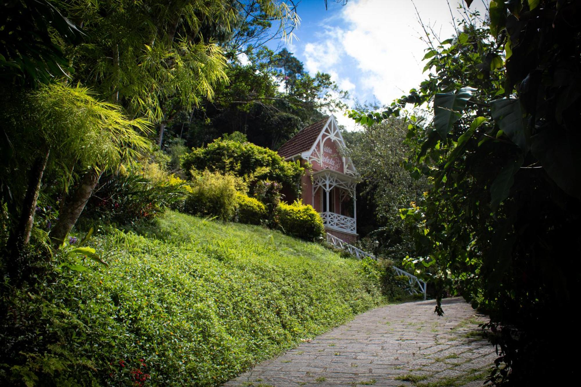 Villa Violeta