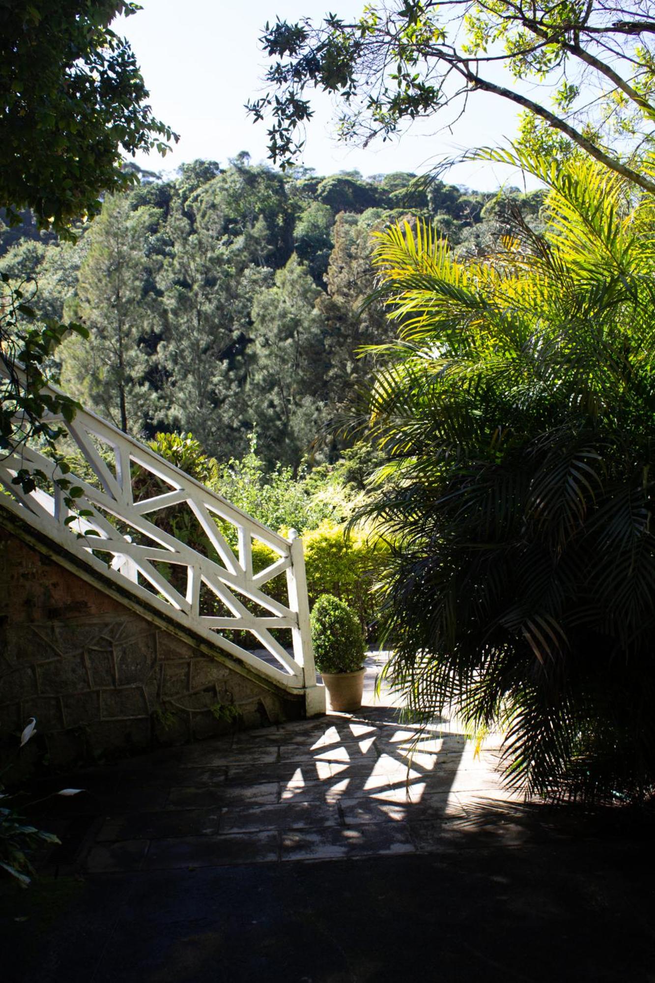 Villa Violeta