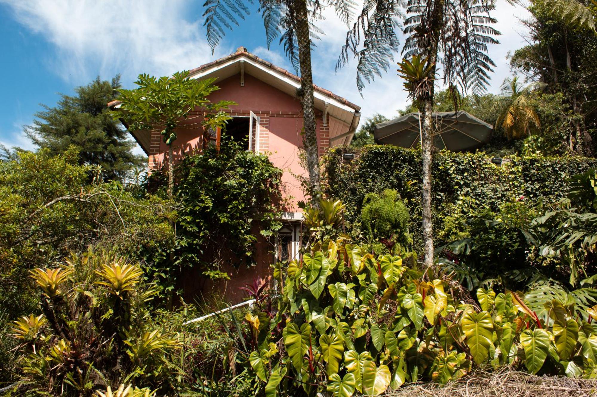 Villa Violeta