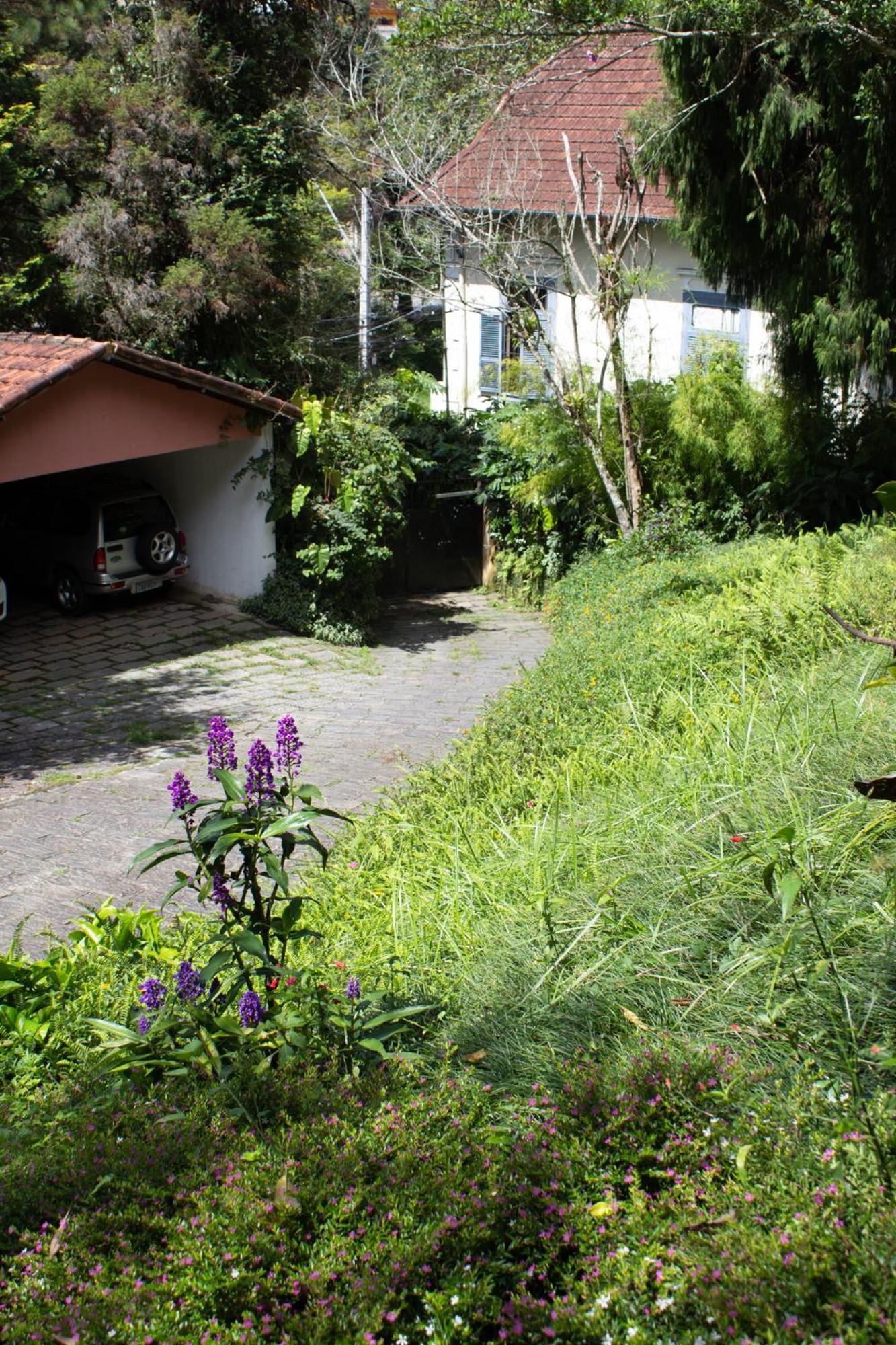 Villa Violeta