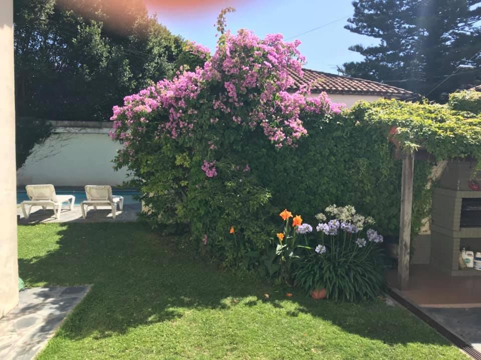 Villa Black Bnb