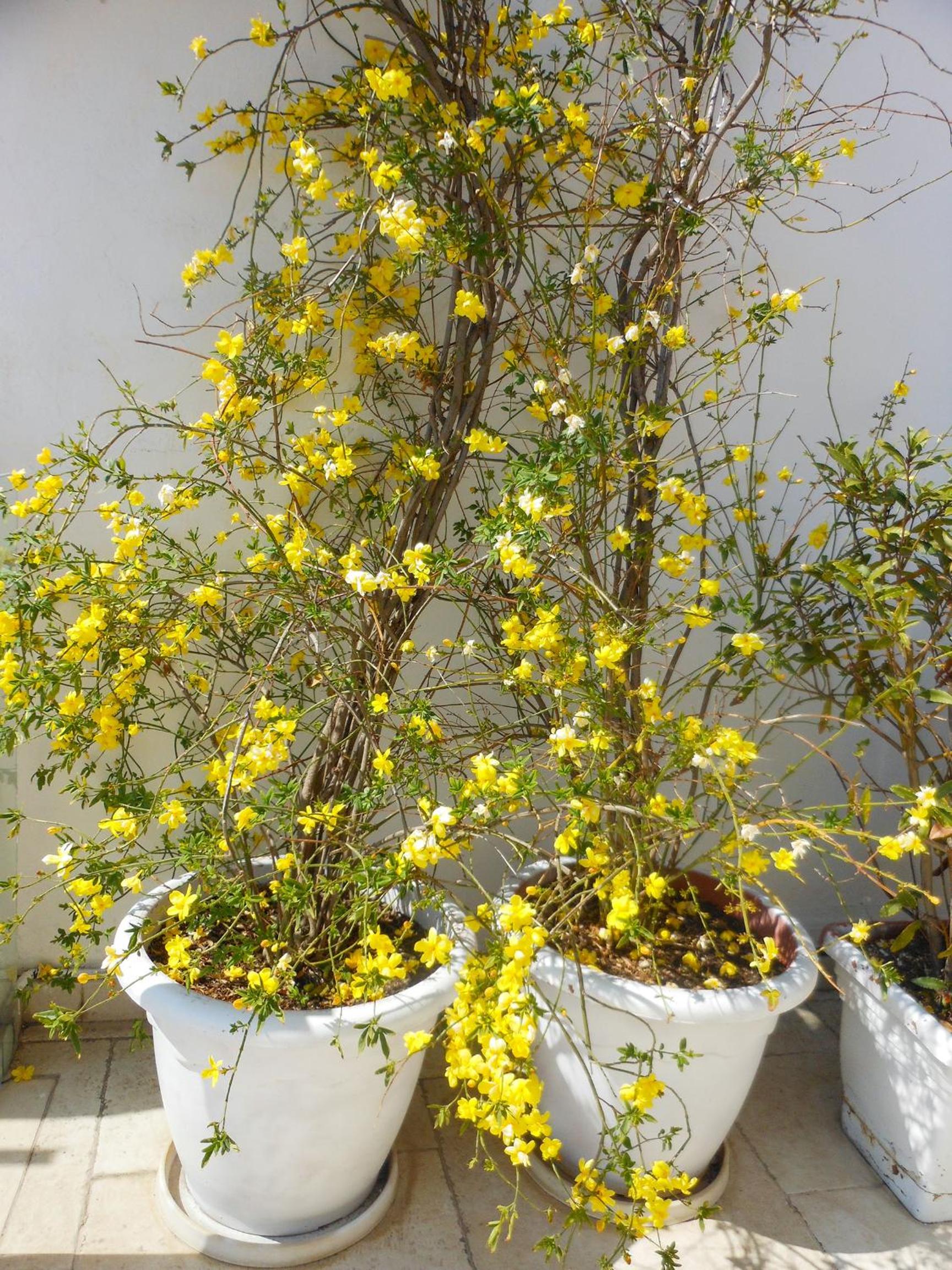 Photo 31